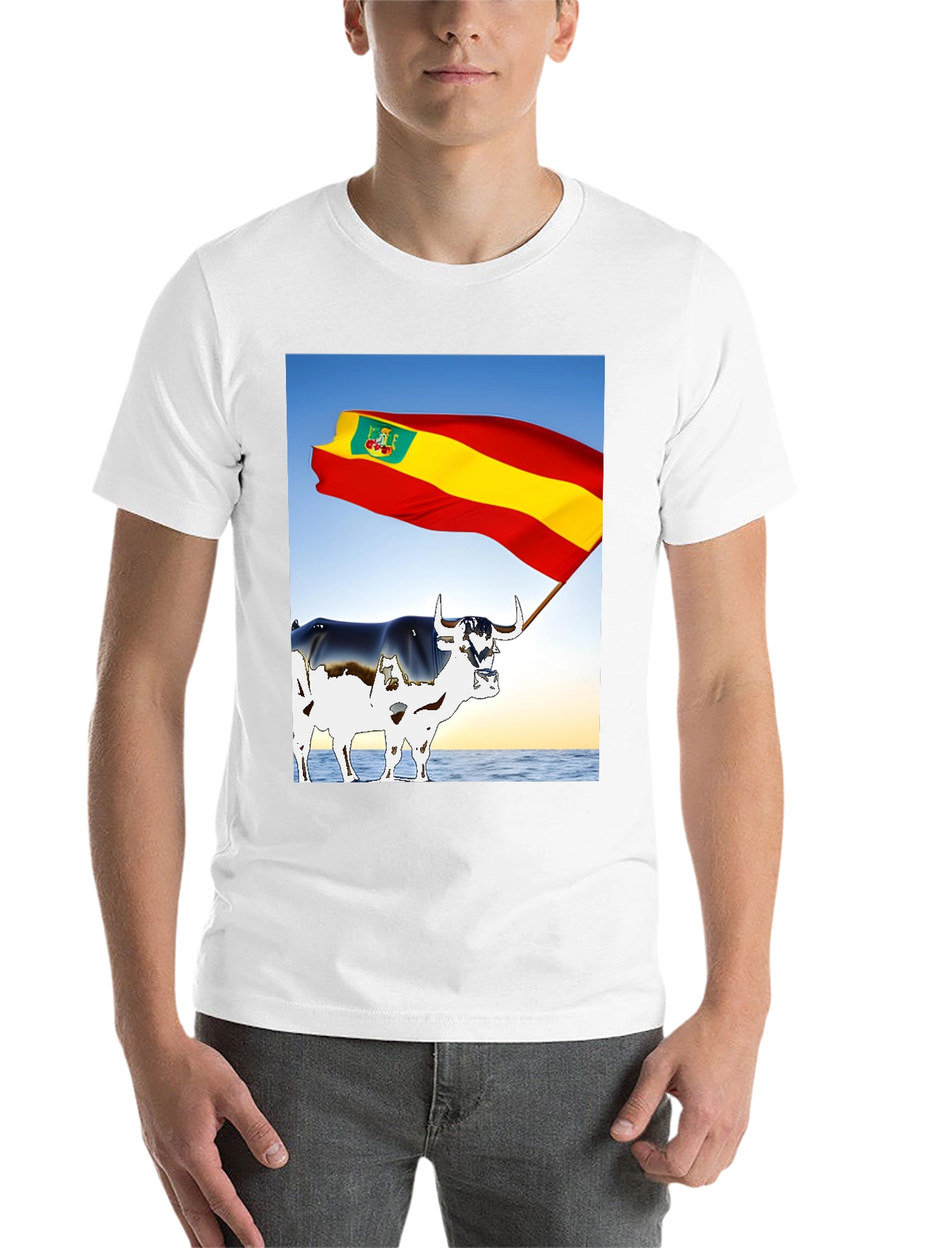 Black Spanish Bull Flag Graphic Tee view 14