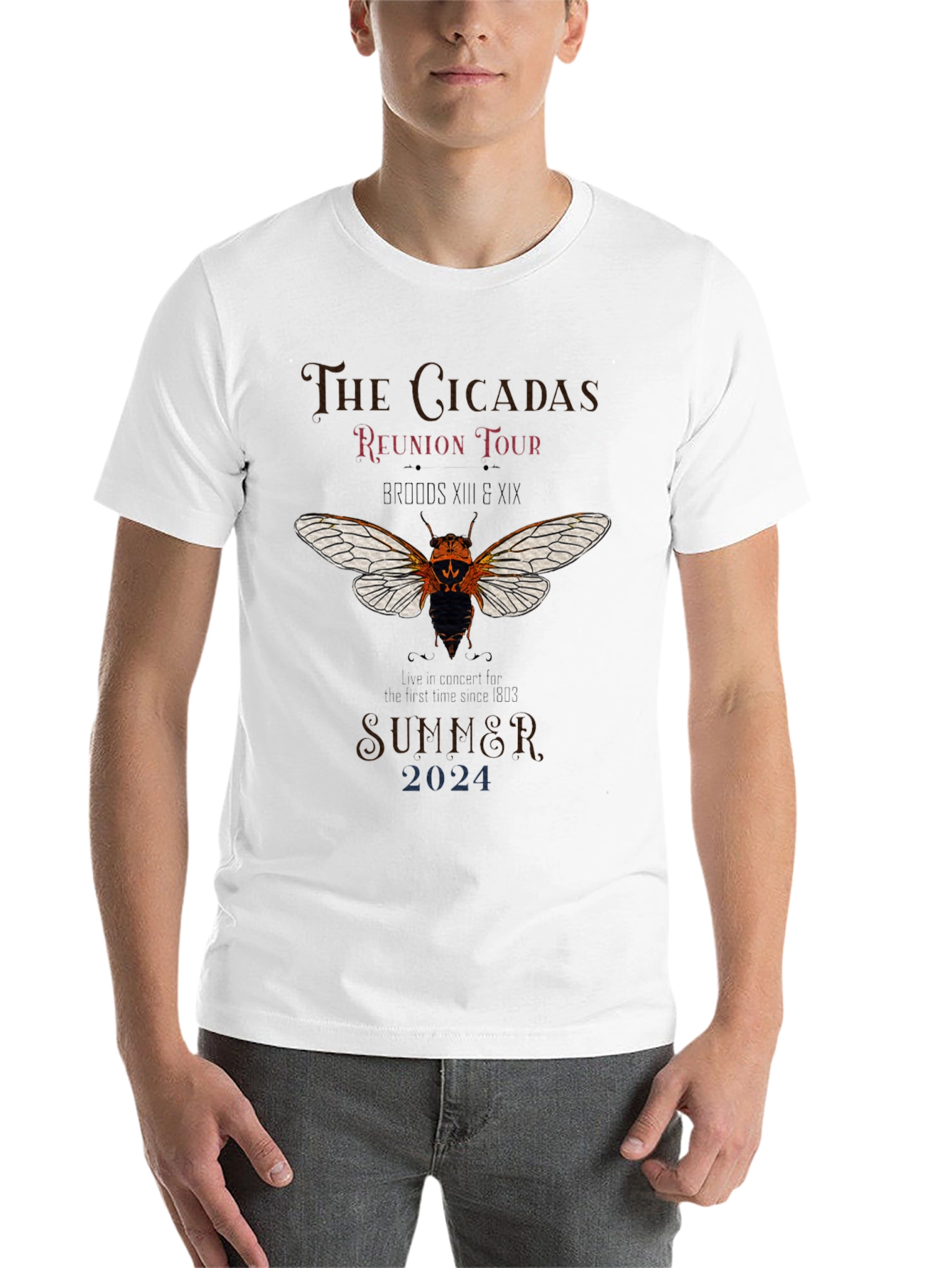 The Cicadas Reunion Tour 2024 T-Shirt - 14