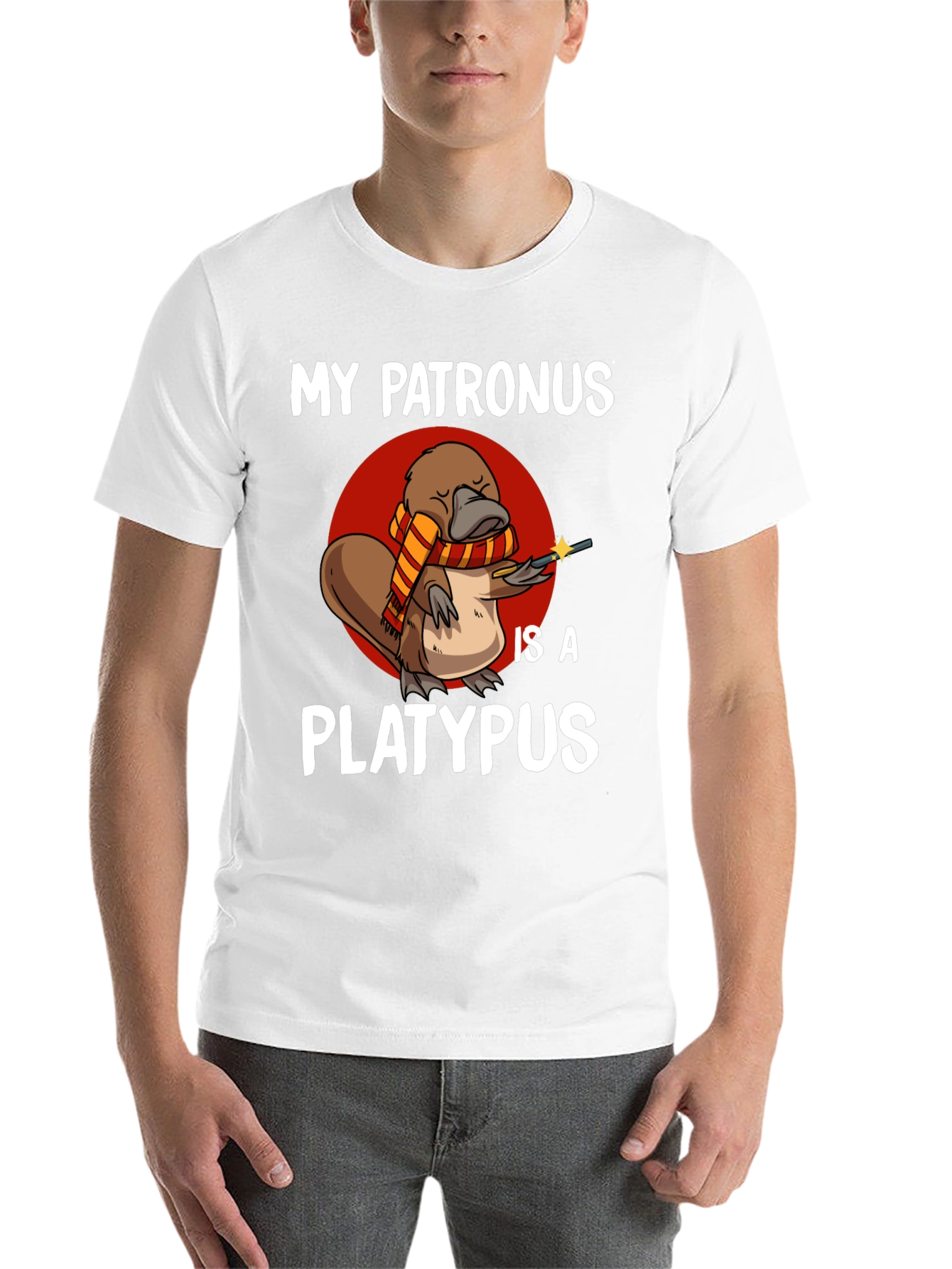 Black My Patronus is a Platypus T-Shirt view 14