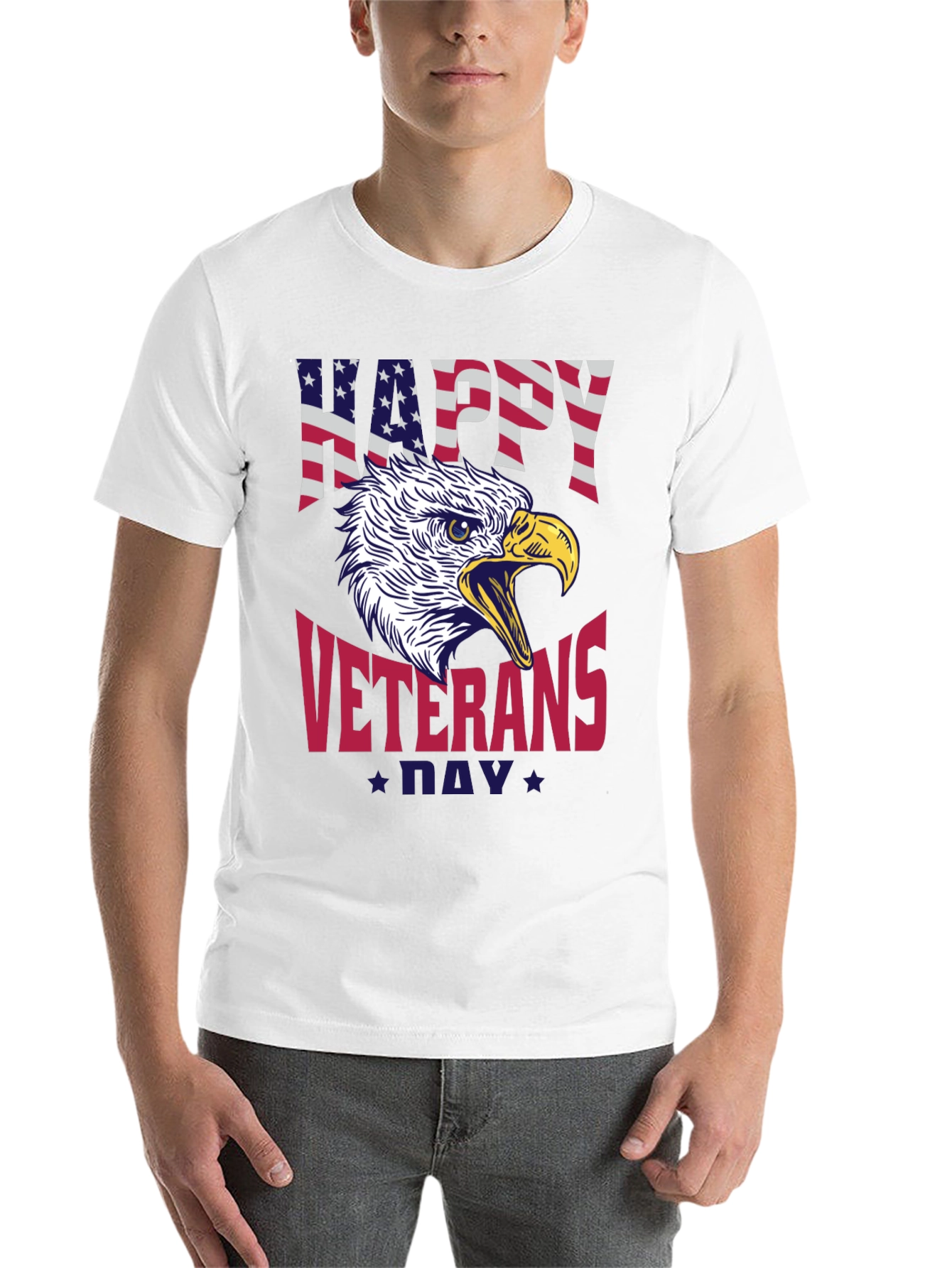 Happy Veterans Day Eagle Graphic Tee - 14