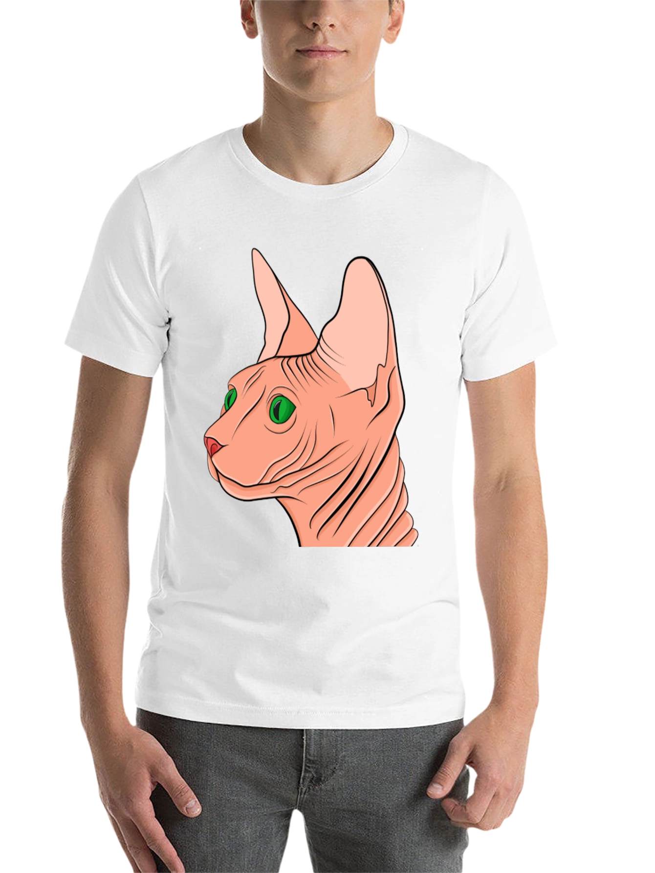 Black Sphynx Cat Graphic Tee - Unique Design view 14