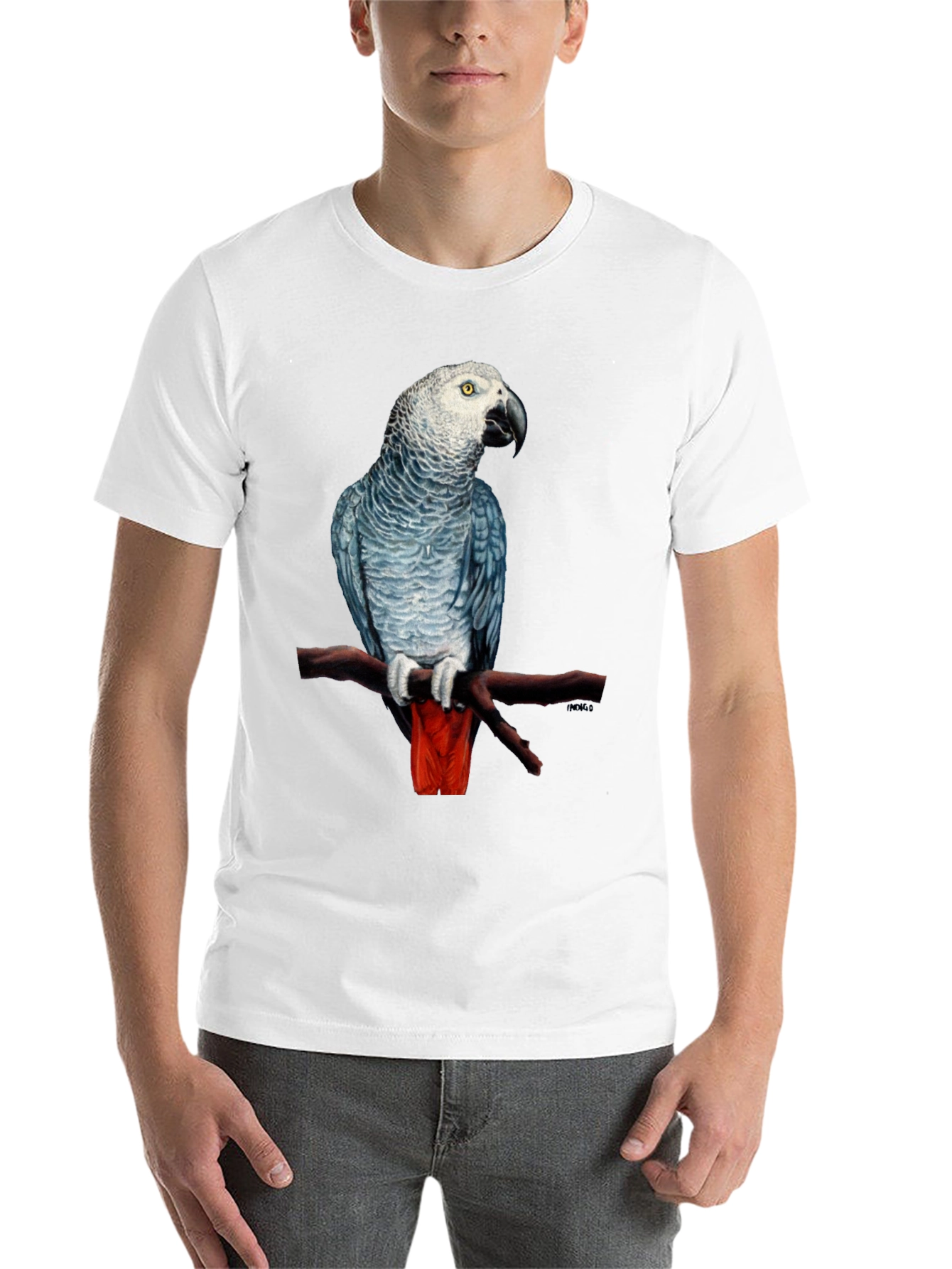 African Grey Parrot T-Shirt - 14
