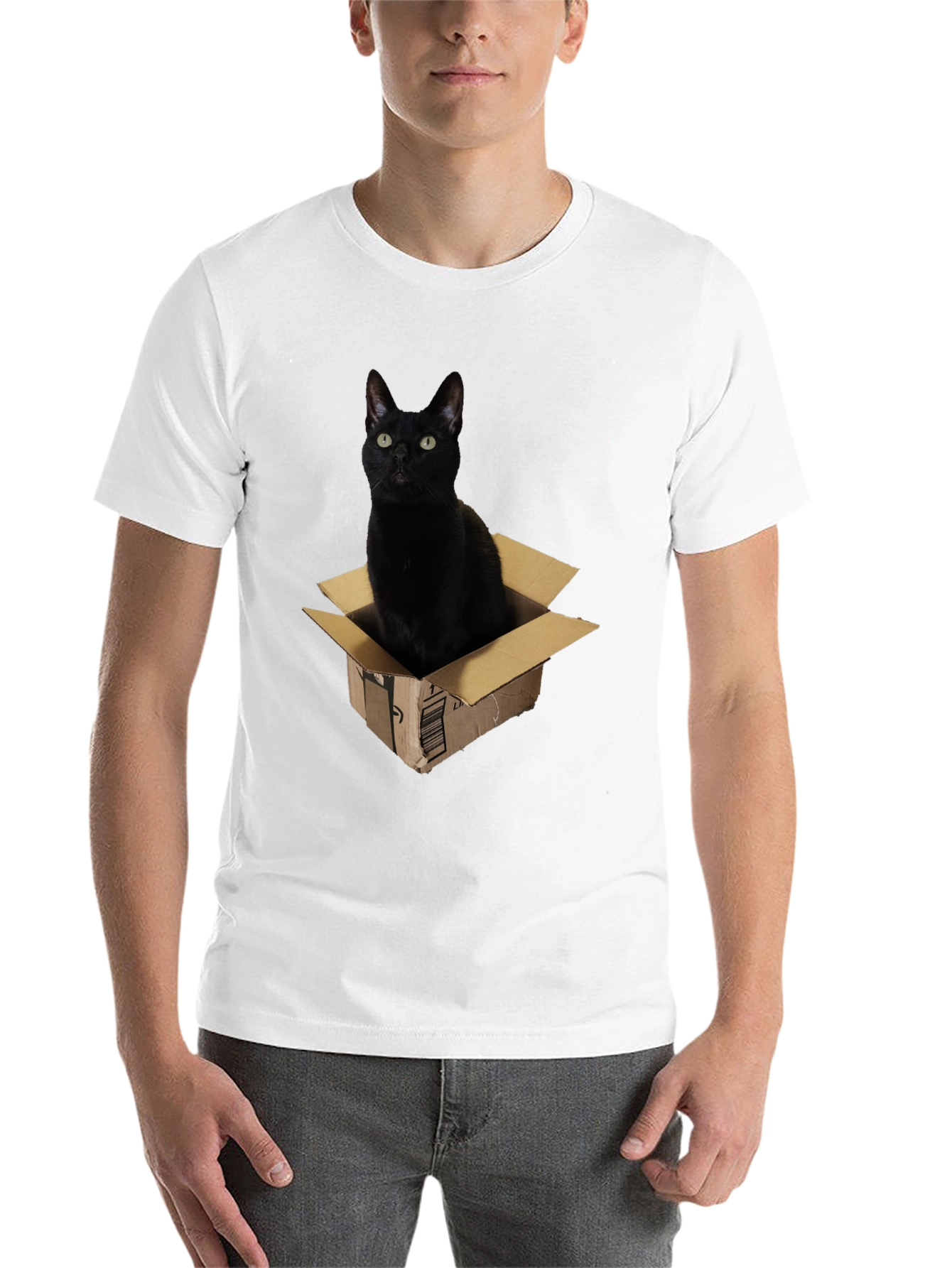 Black Black Cat in Box Graphic T-Shirt view 14
