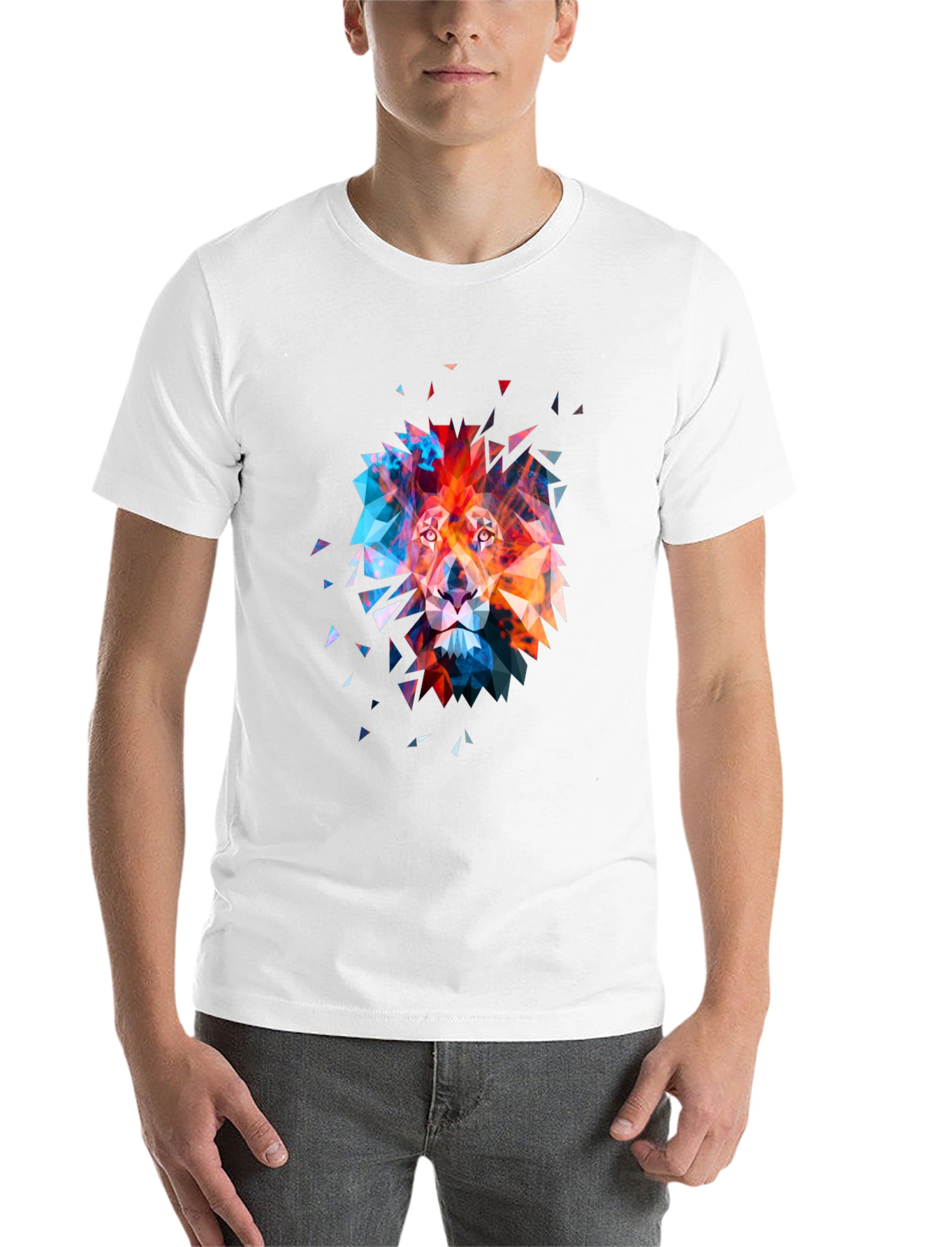 Black Geometric Lion Graphic Tee - Modern Art T-Shirt view 14