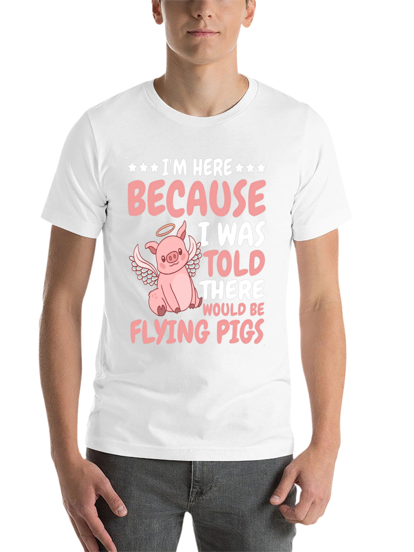 Black Flying Pig T-Shirt - Funny Animal Graphic Tee view 14