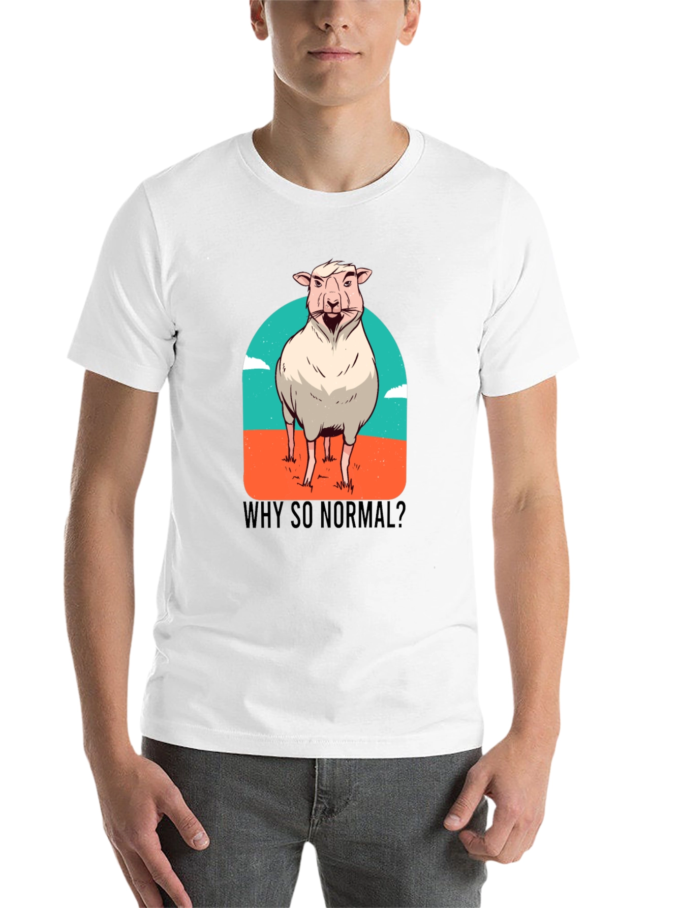 Black Why So Normal? Sheep Graphic T-Shirt view 14