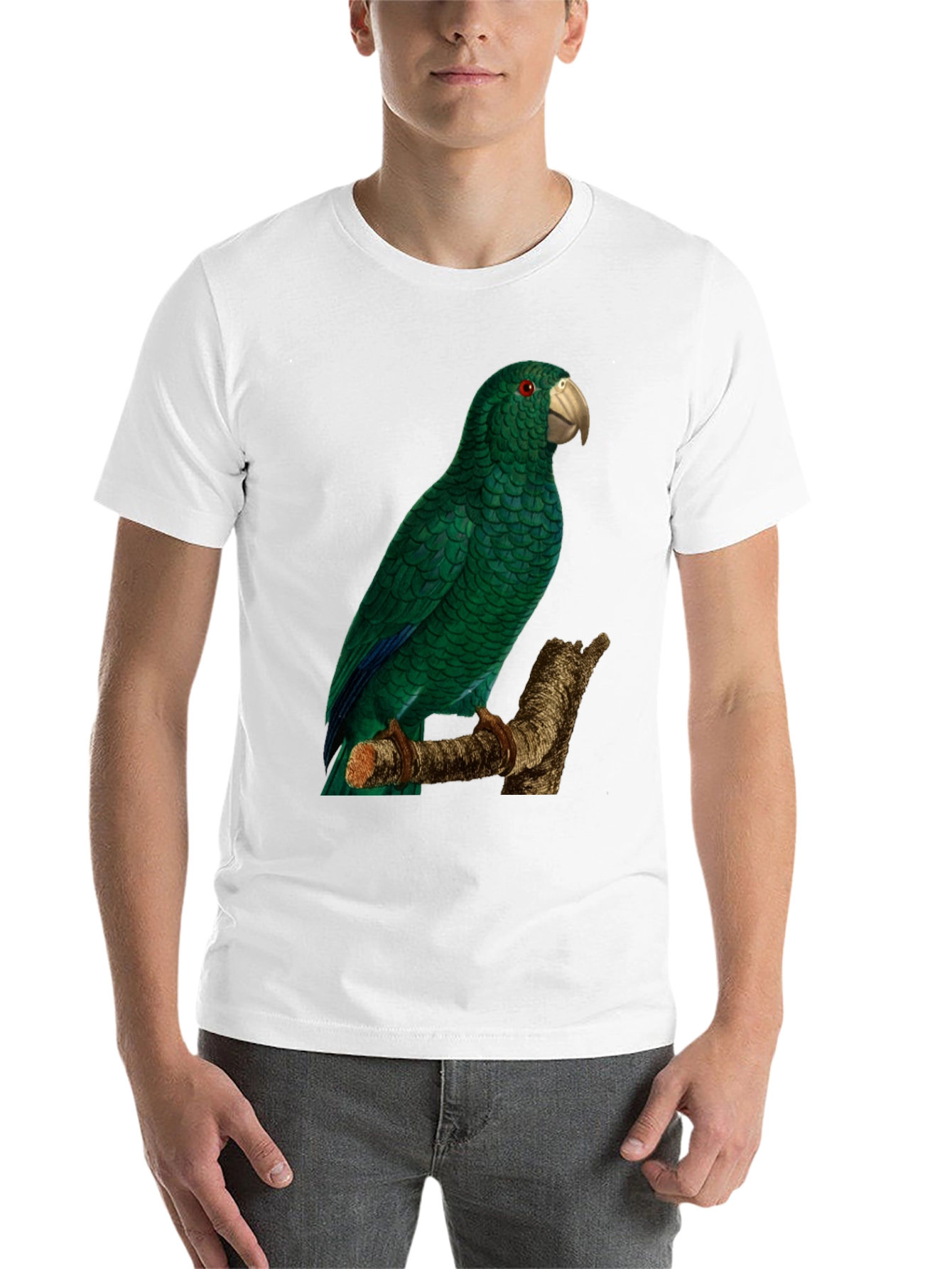 Black Green Parrot Graphic Tee - Nature Lover's Apparel view 14