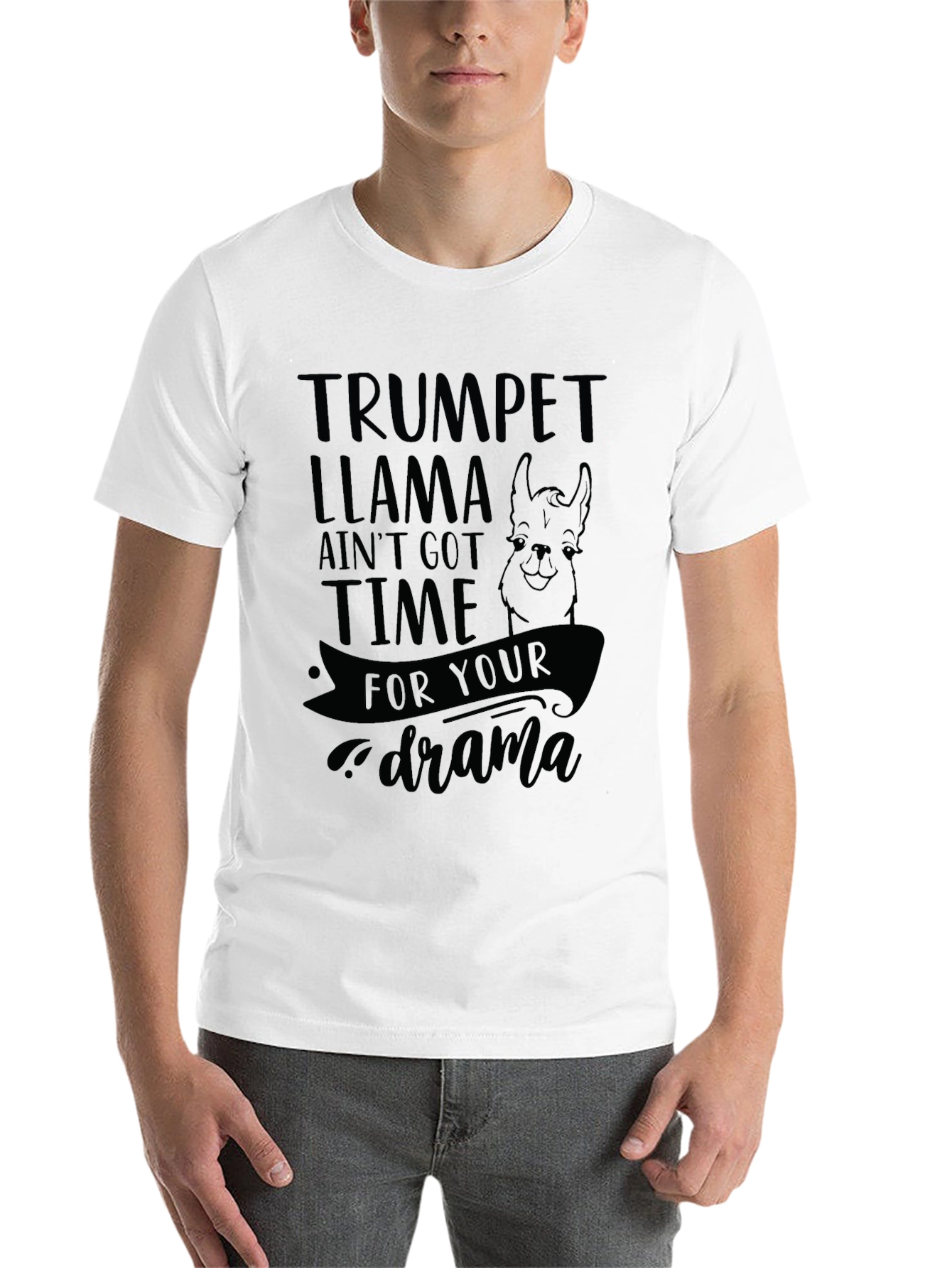 Black Trumpet Llama Graphic Tee - Ain't Got Time For Your Drama view 14
