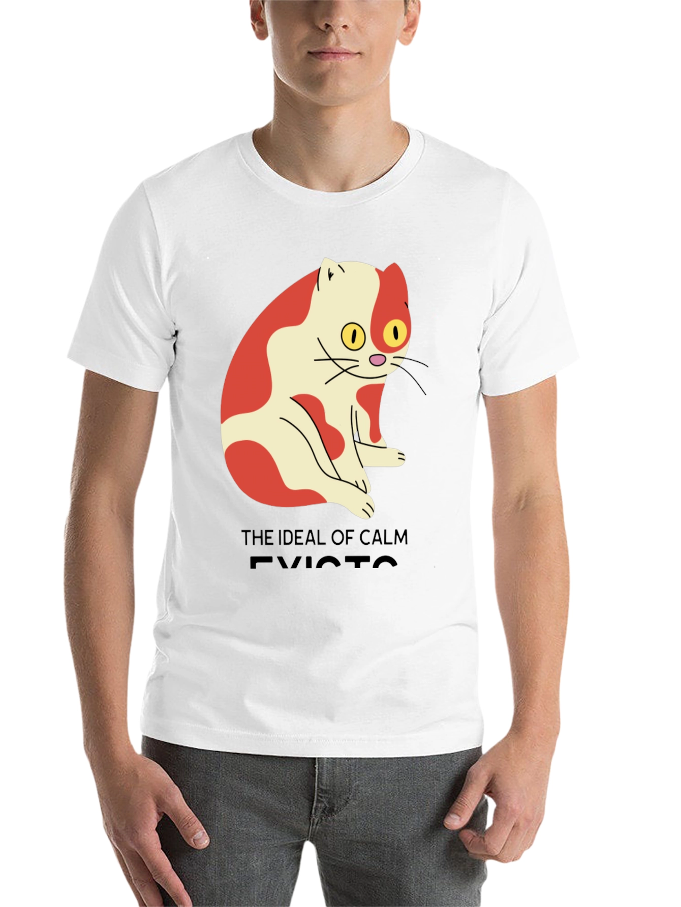 Men's "Ideal of Calm Exists" Cat Graphic T-Shirt - 14