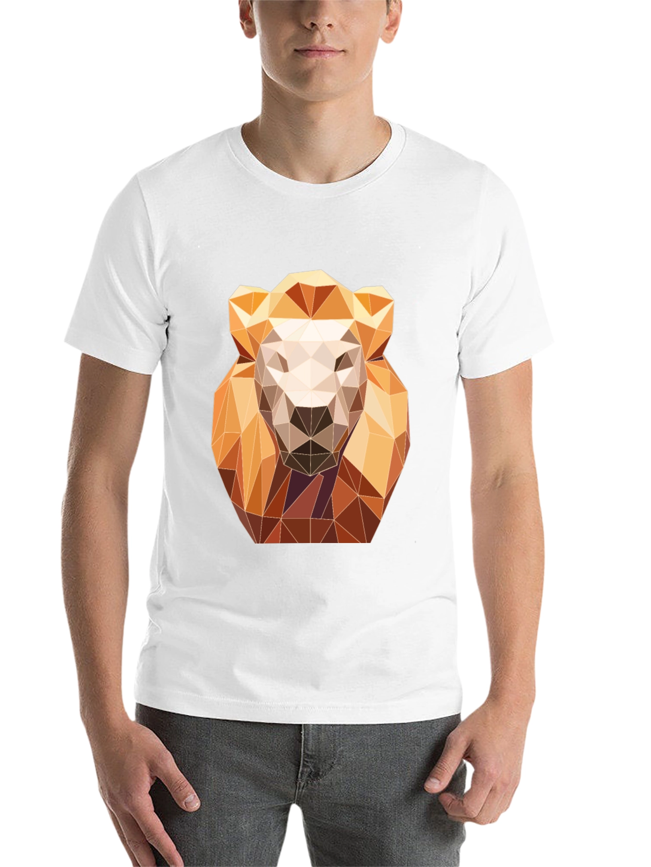 Black Geometric Lion Graphic Tee - Modern Art Design view 14