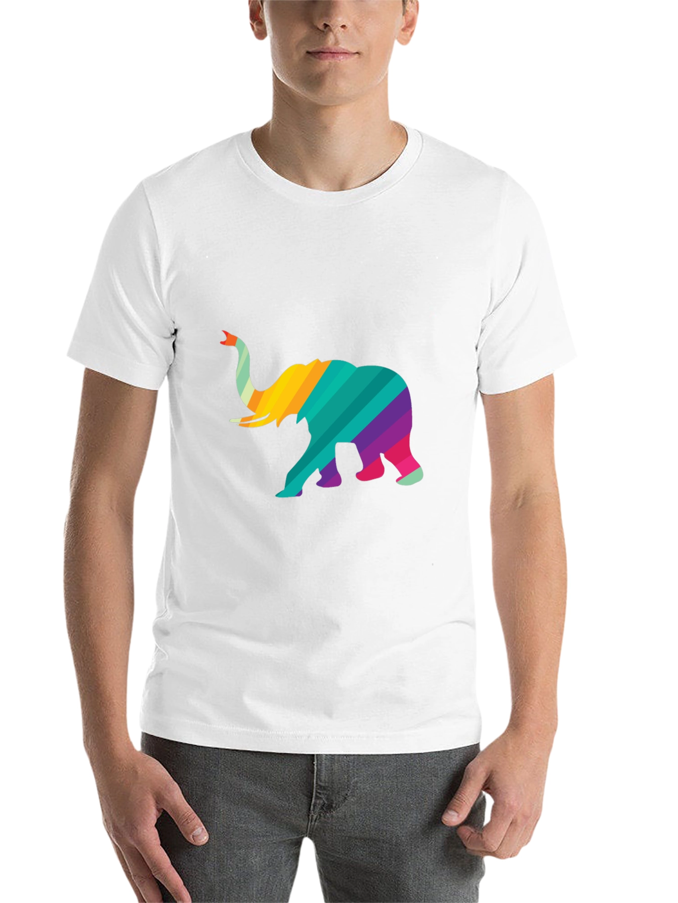 Black Rainbow Striped Elephant Graphic Tee - Unique Design view 14