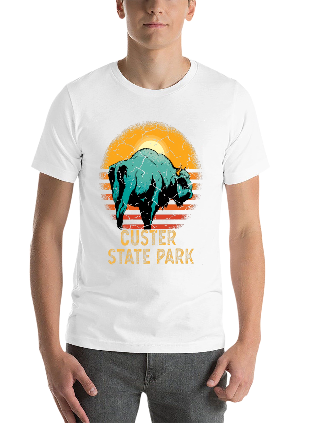 Black Custer State Park Bison Graphic T-Shirt view 14