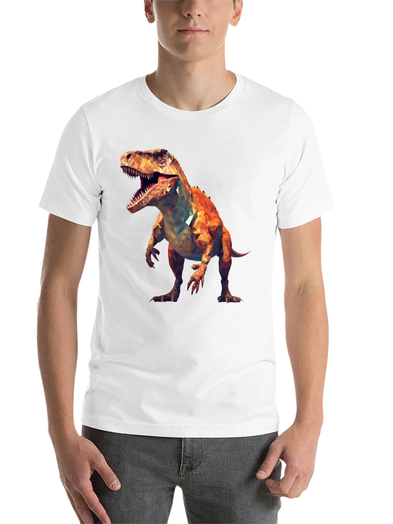 Black Geometric Dinosaur T-Shirt - Black Cotton Tee view 14