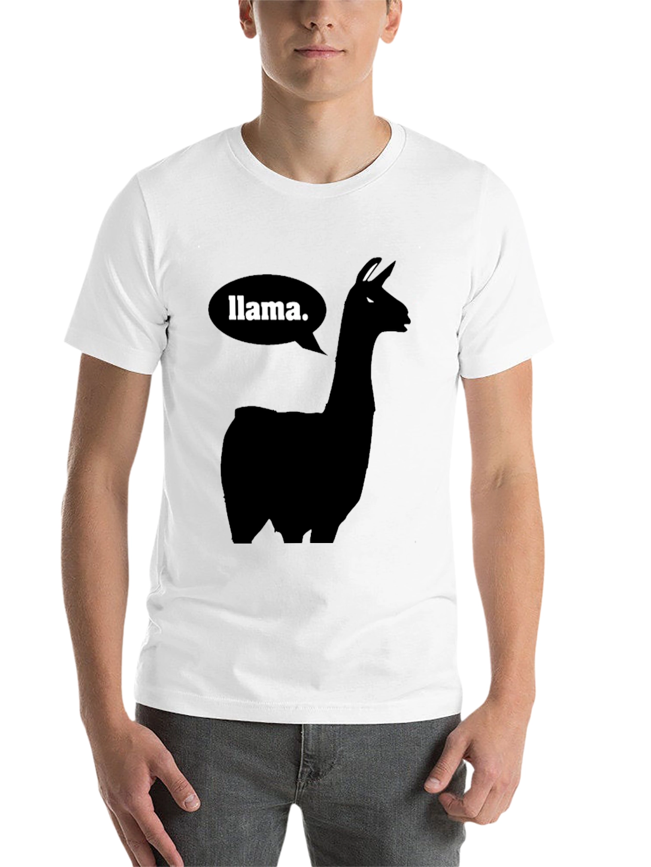 Black Llama T-Shirt - Black Silhouette Animal Tee view 14