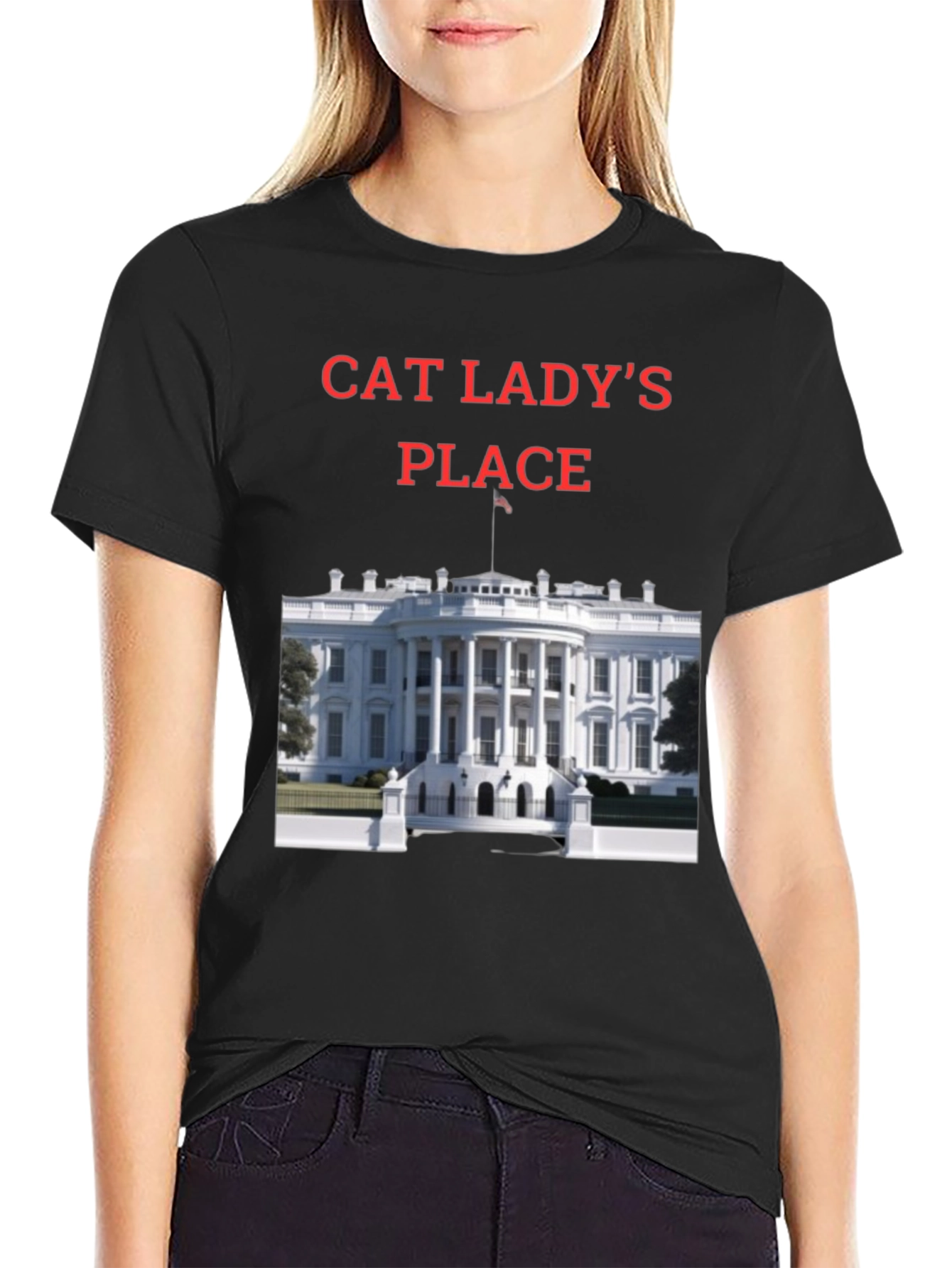 Black Cat Lady's Place T-Shirt - Novelty Tee view 2