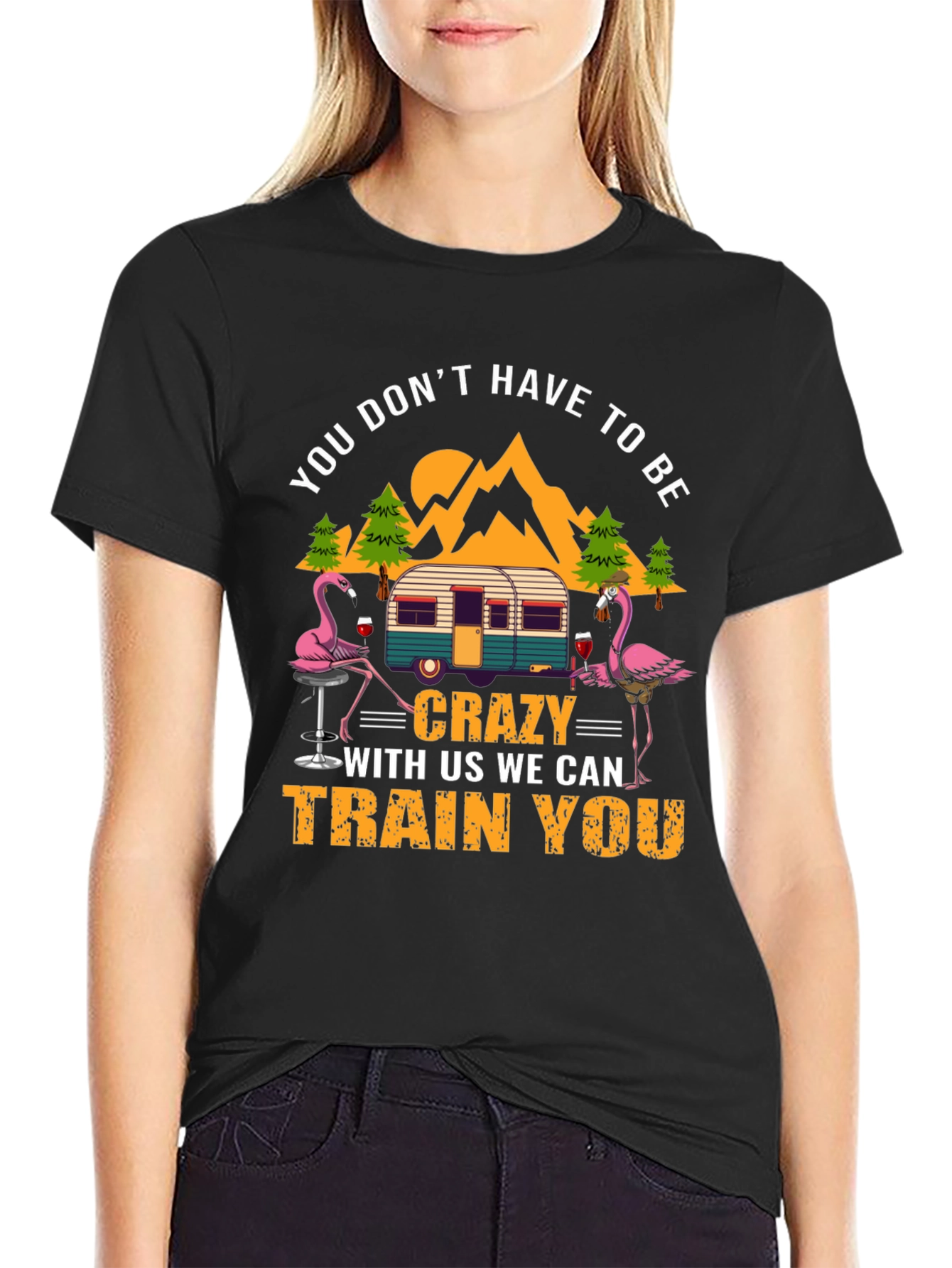 Black Flamingo Camper T-Shirt: You Don't Have to Be Crazy! view 2