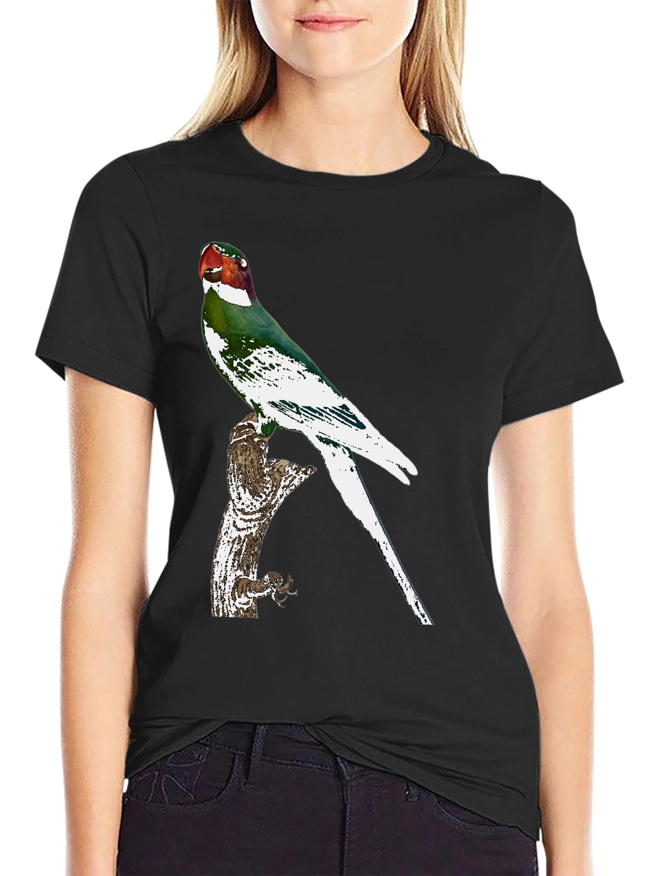 Black Parrot Graphic Tee - Black Cotton T-Shirt view 2
