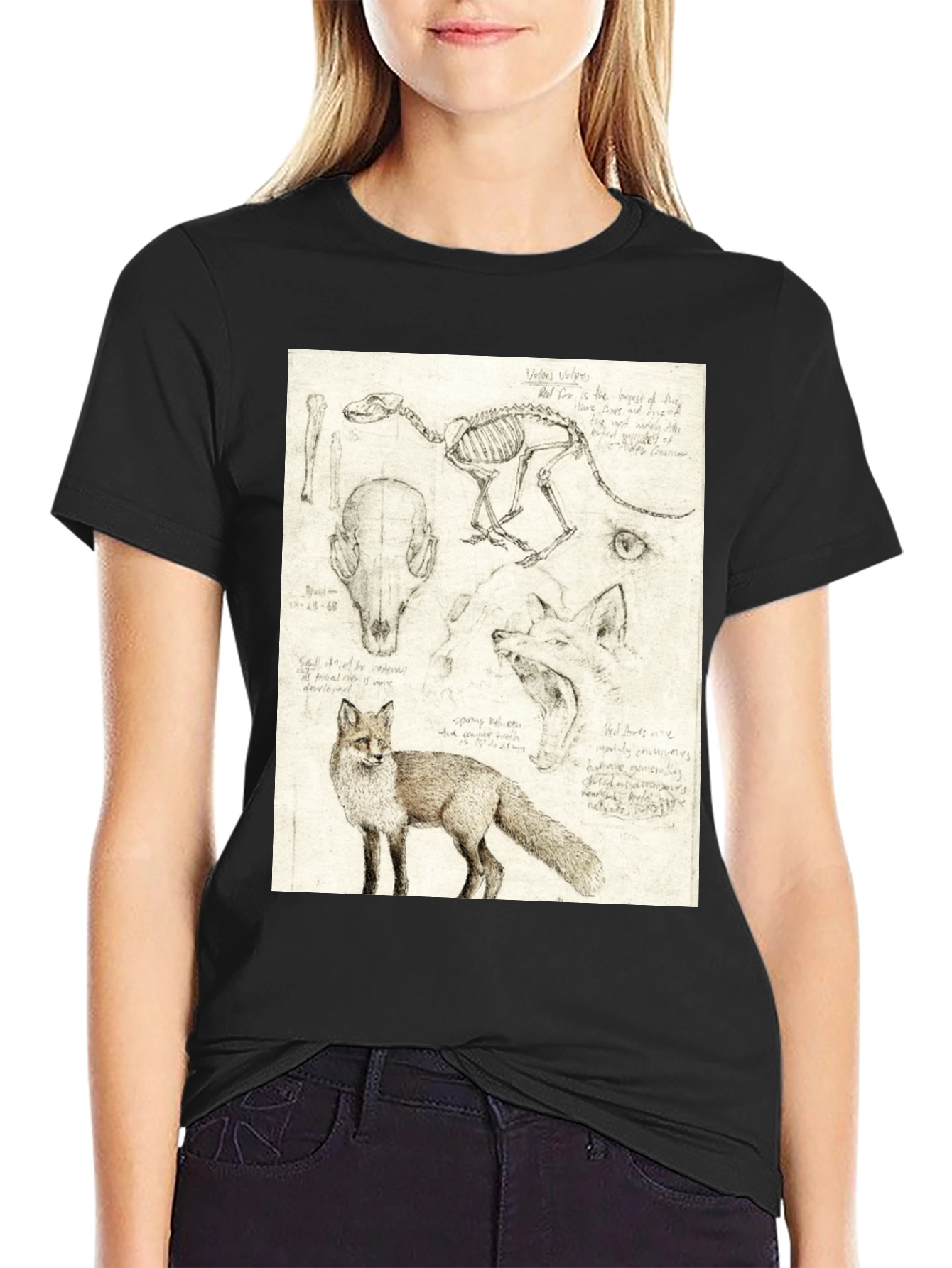 Black Anatomical Fox Print Tee - Artistic Unisex T-Shirt view 2