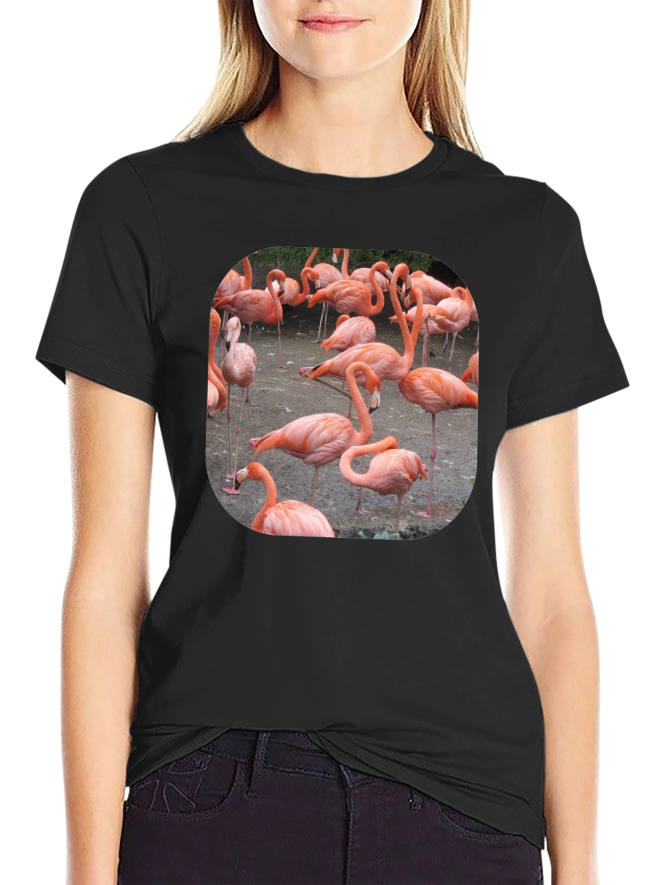 Black Flamingo Graphic Tee - Tropical Bird T-Shirt view 2