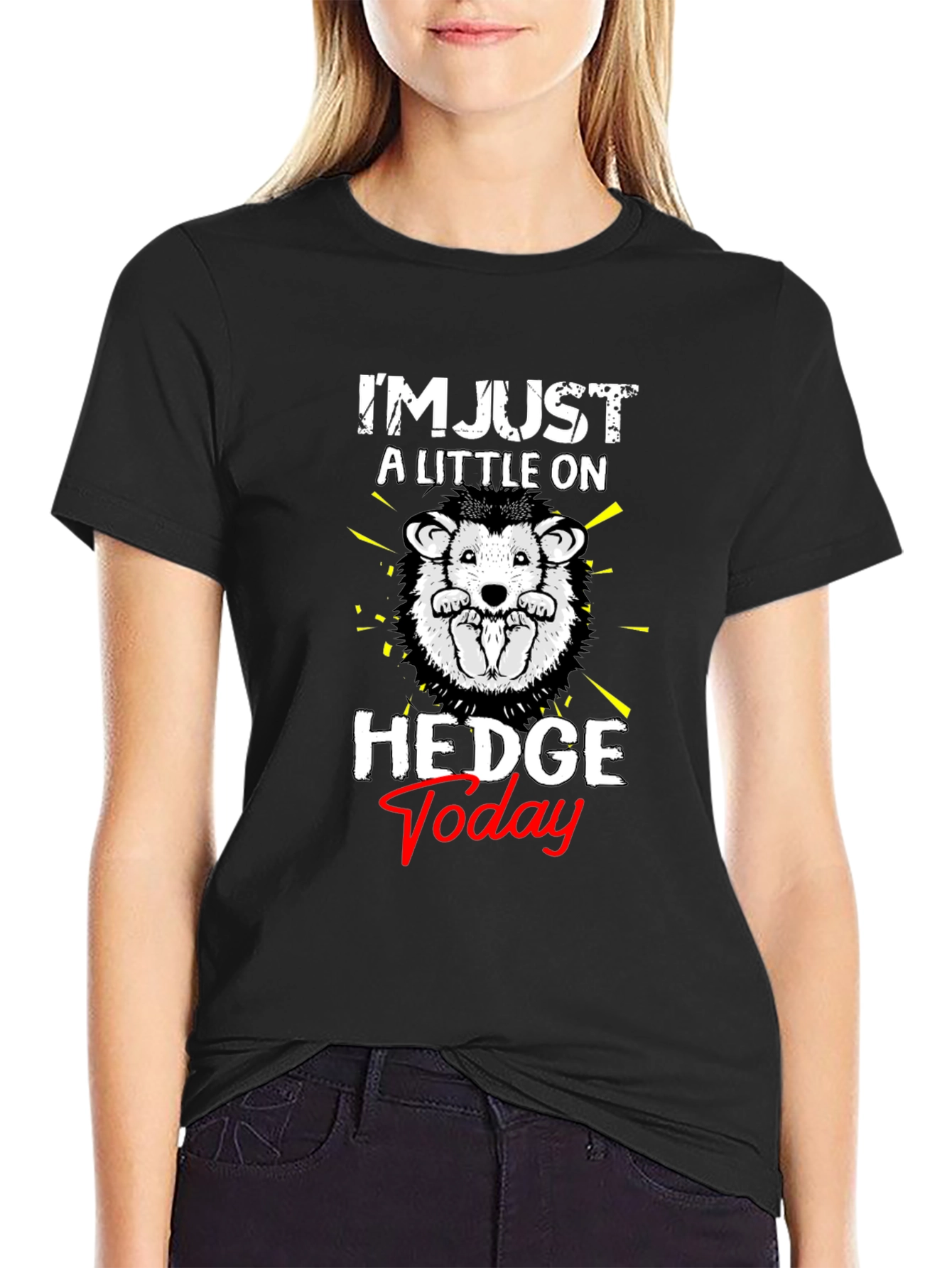 Black Hedgehog 'Hedge Today' Graphic T-Shirt view 2