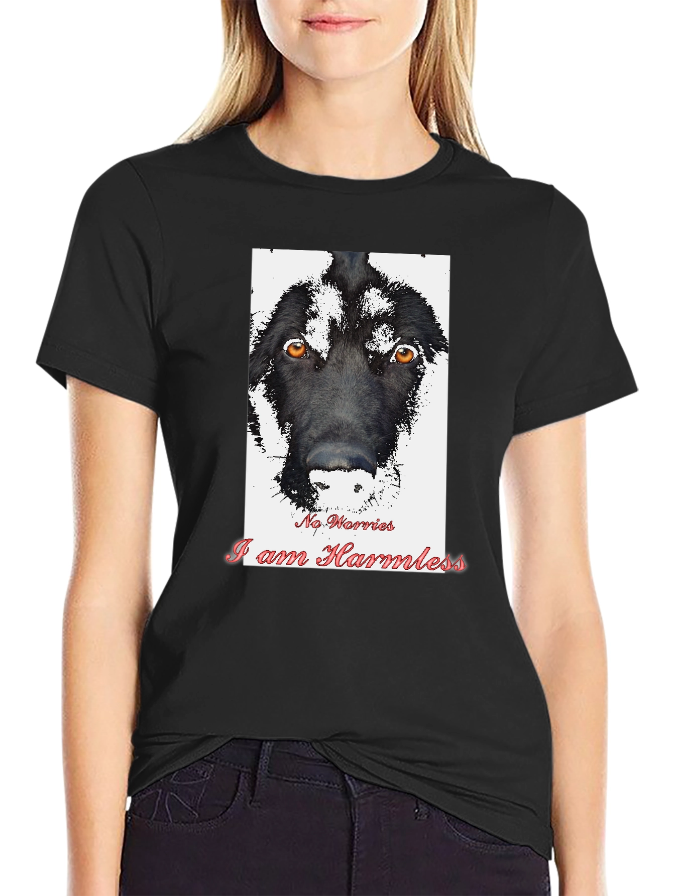 Black Harmless Dog Graphic T-Shirt view 2