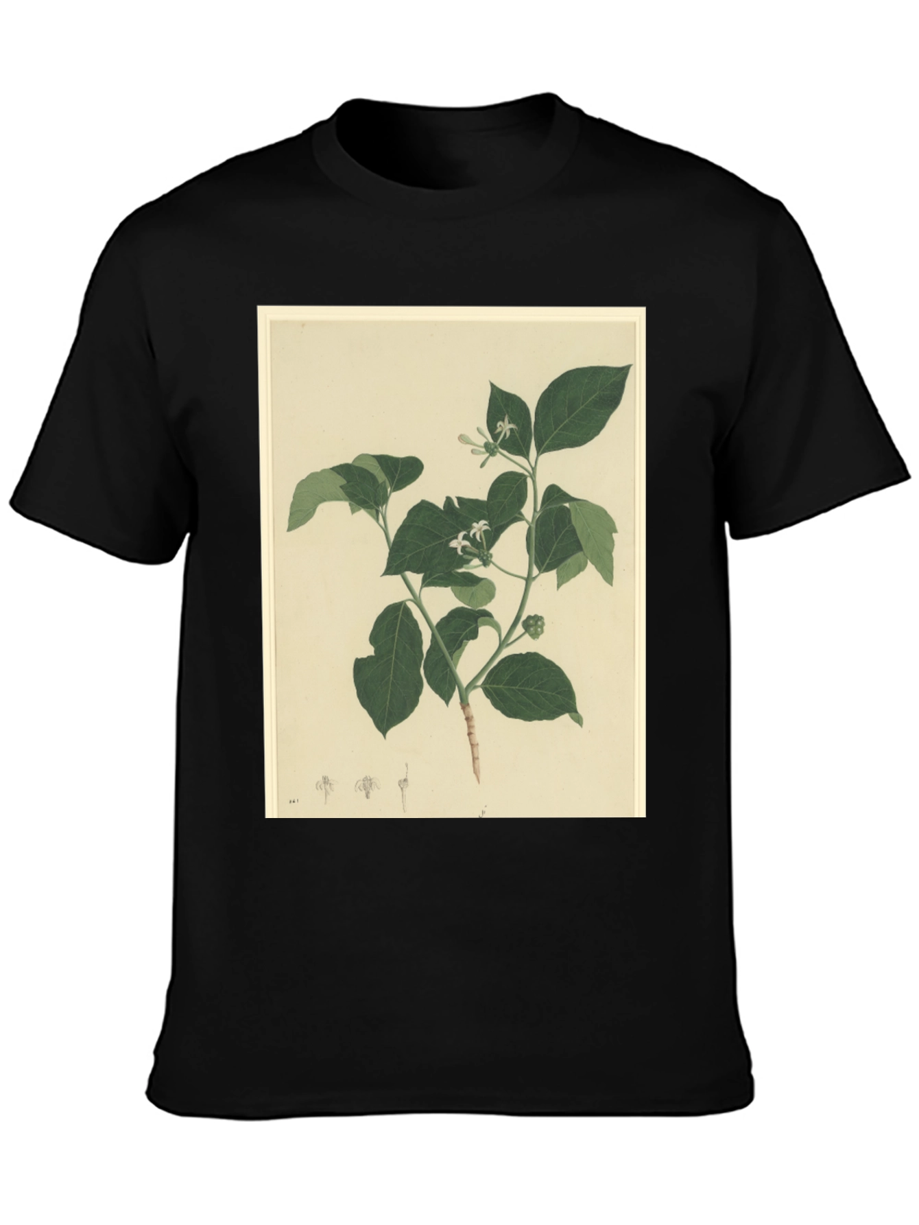 Black Botanical Print Black T-Shirt view 3