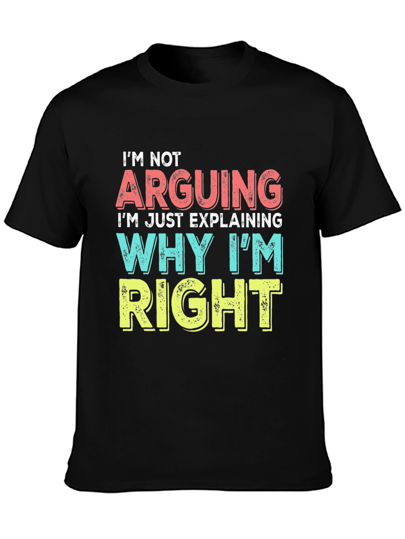 Black Funny "I'm Not Arguing" Graphic Tee - Sarcastic T-Shirt view 3