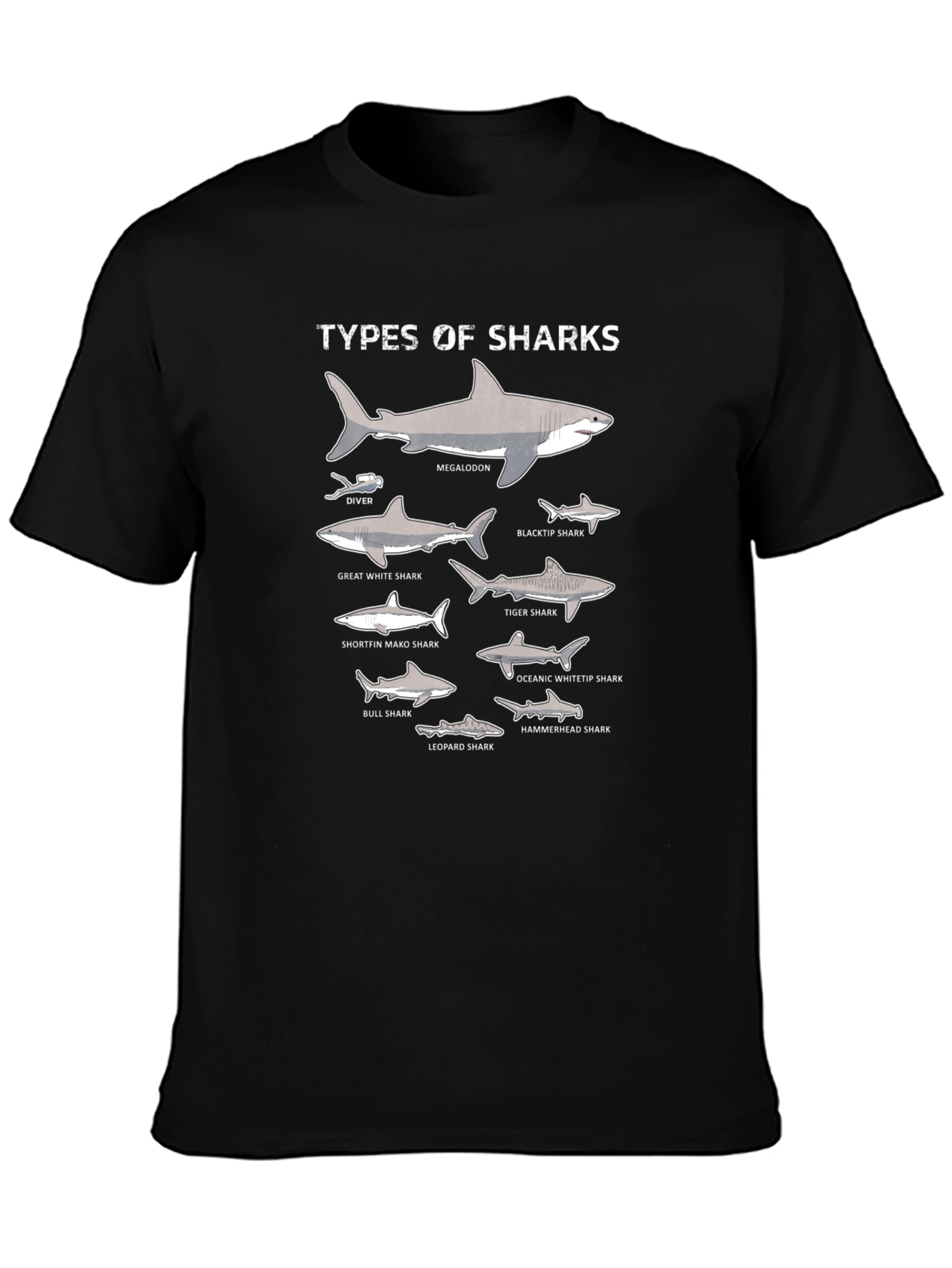 Black Types of Sharks Graphic T-Shirt view 3