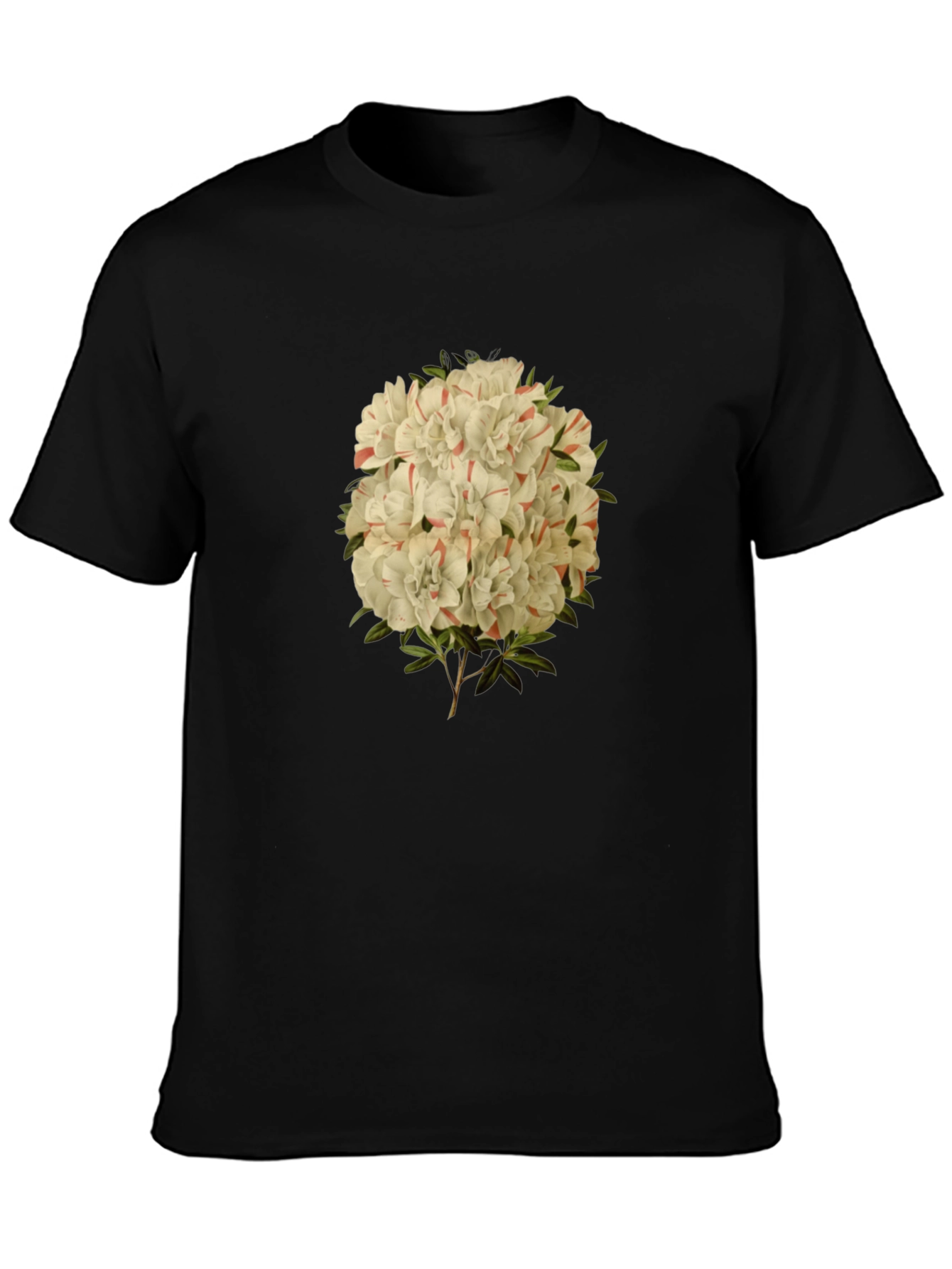 Black Floral Print Graphic Tee - Black Casual T-Shirt view 3