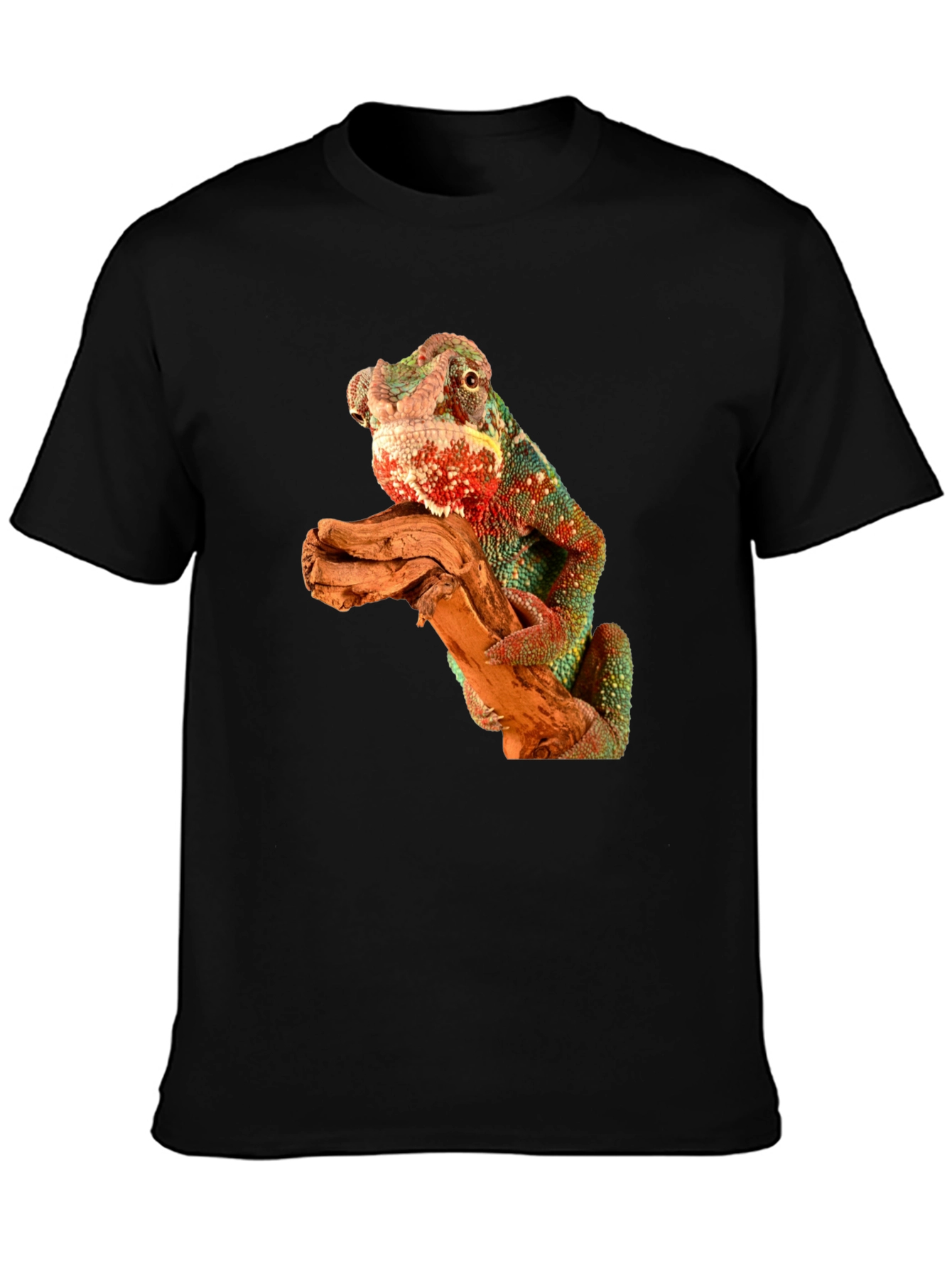 Black Chameleon Graphic Tee view 3