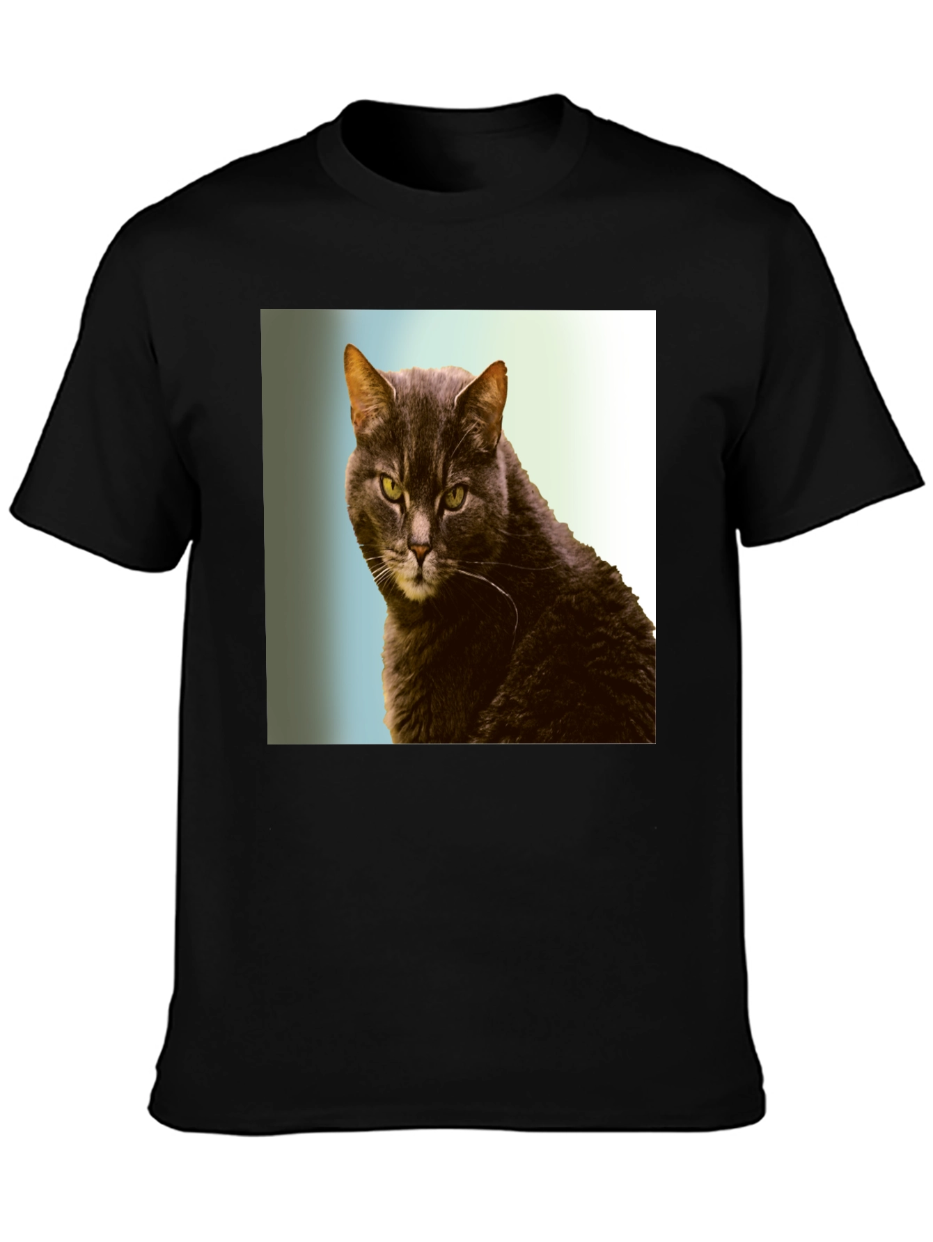 Black Cool Cat Graphic Tee - Black Cotton Shirt view 3
