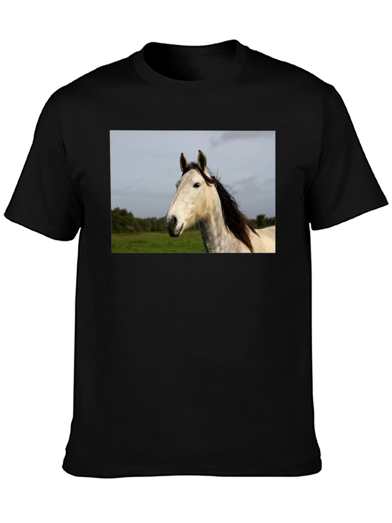 Black Horse Graphic Print Black T-Shirt view 3