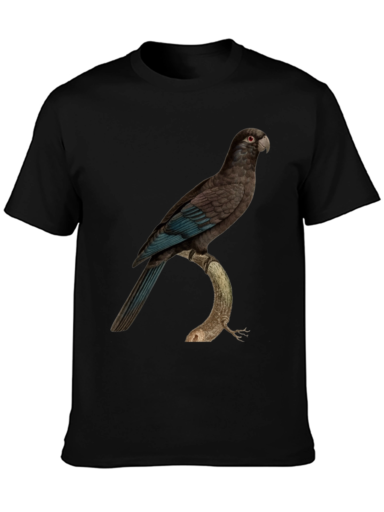 Black Parrot Graphic Print Black T-Shirt view 3