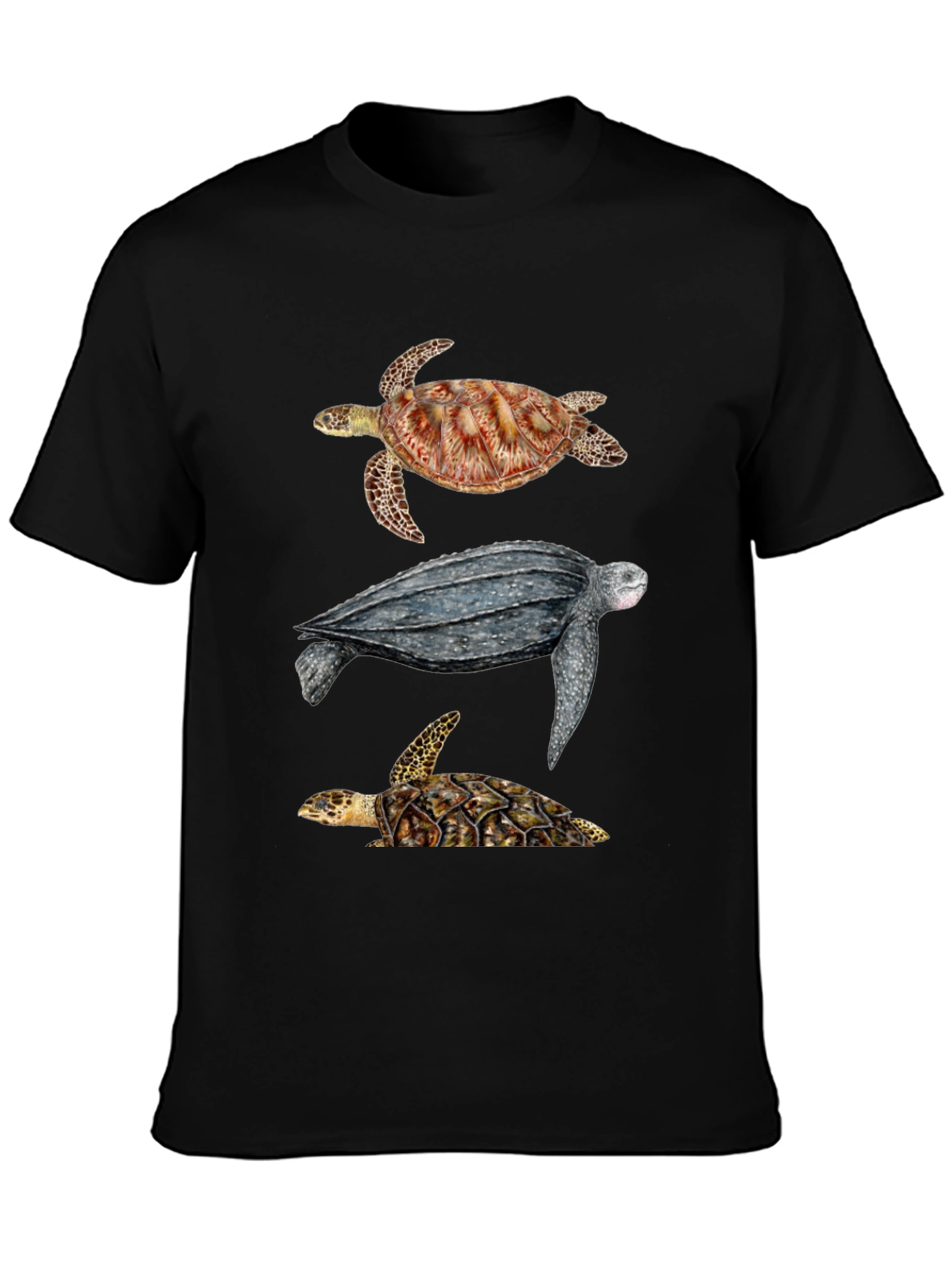 Black Turtle T-Shirt - Sea Life Graphic Tee view 3