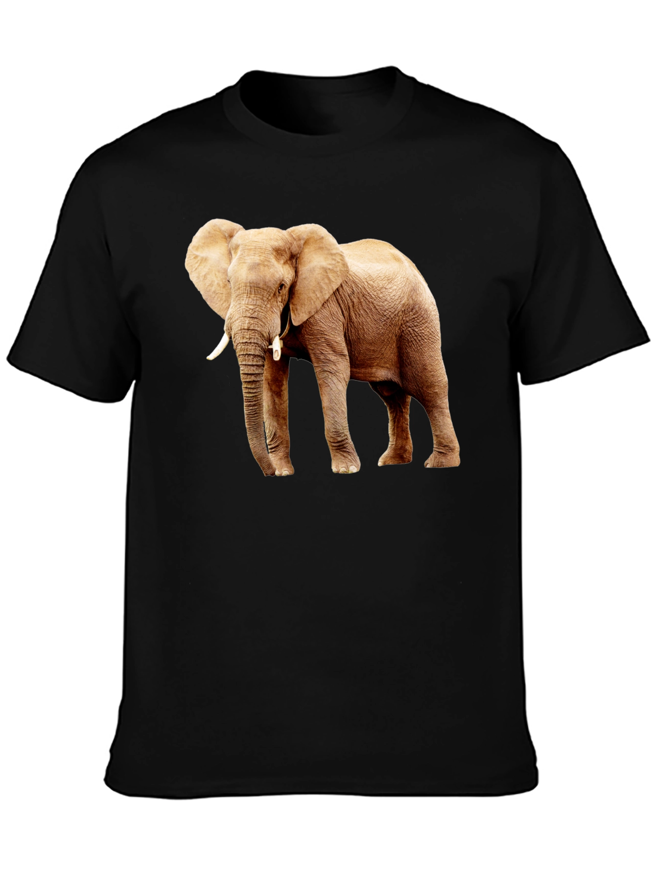 Black Elephant Graphic Print T-Shirt view 3