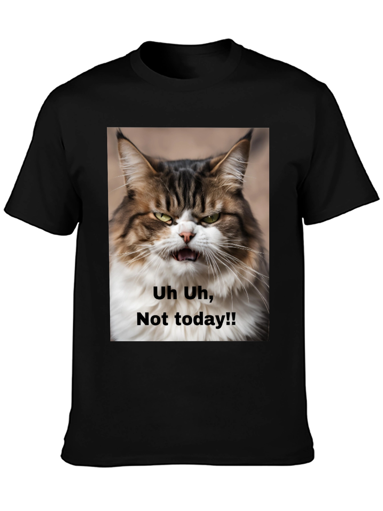 Black Grumpy Cat T-Shirt - "Not Today!" Unisex Black Tee view 3