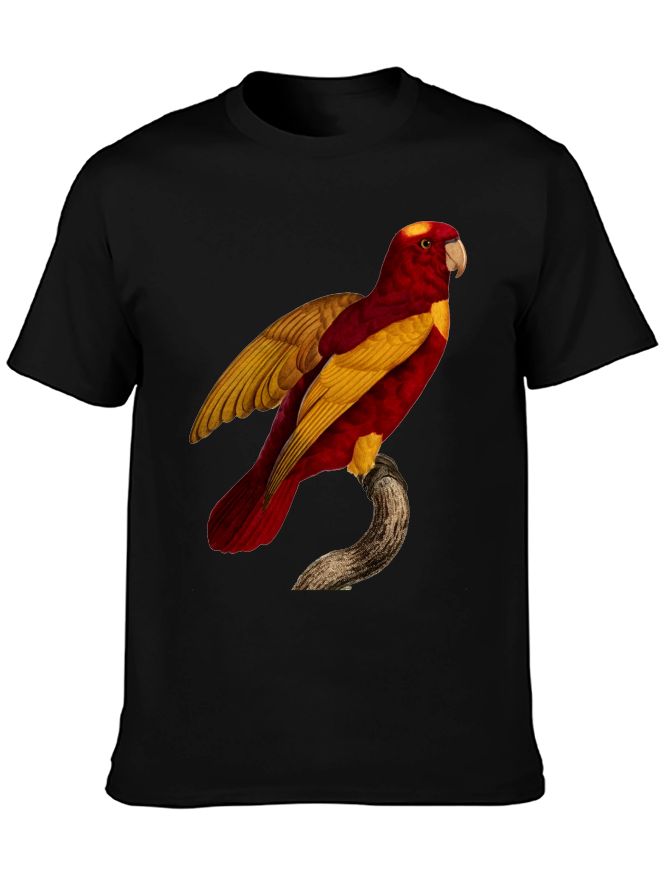 Black Exotic Parrot Graphic Tee view 3