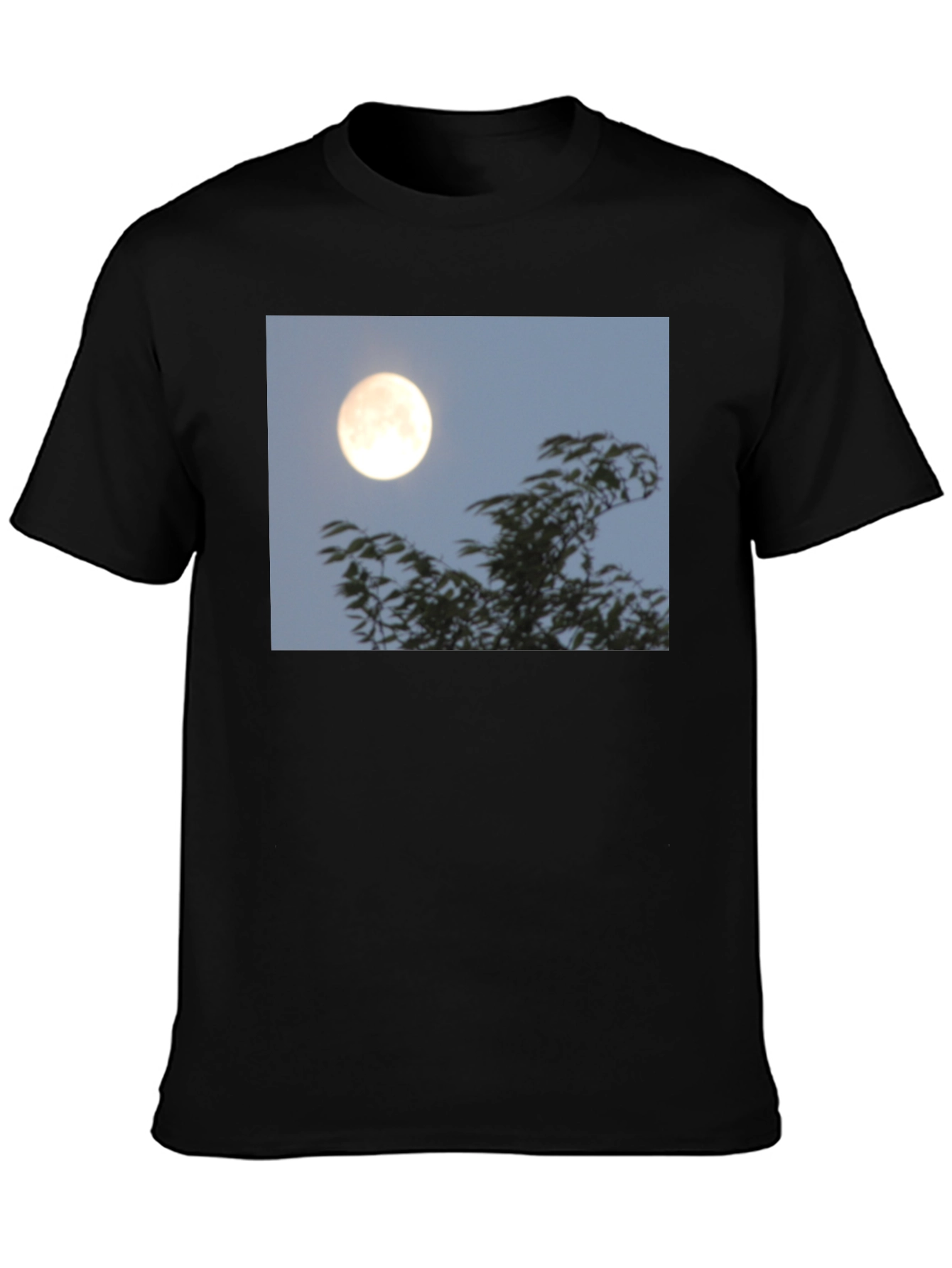 Black Moonlit Trees Graphic Tee - Black Cotton T-Shirt view 3
