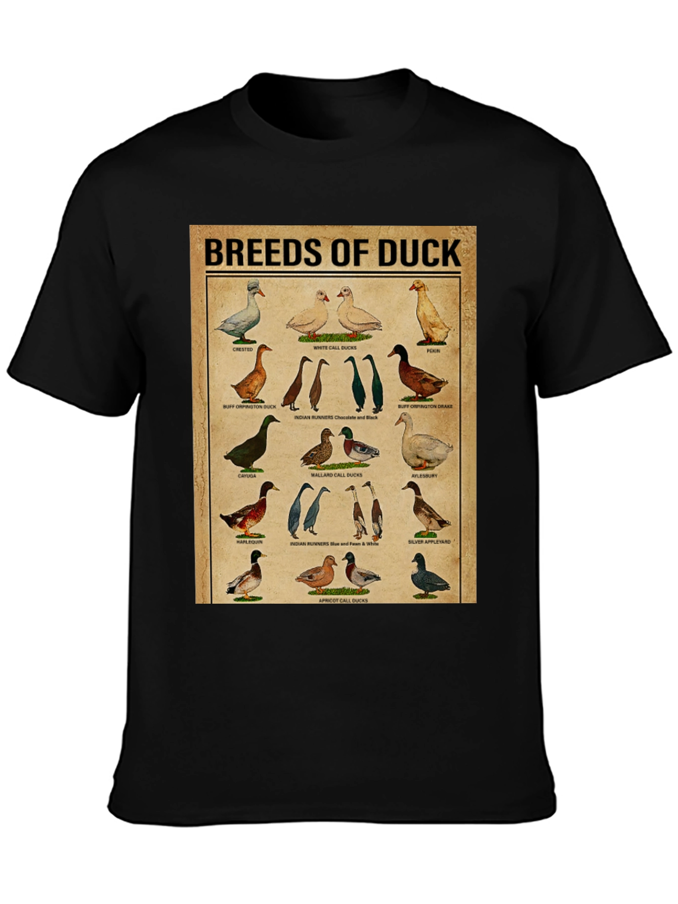 Black Breeds of Duck T-Shirt - Bird Lover Gift view 3