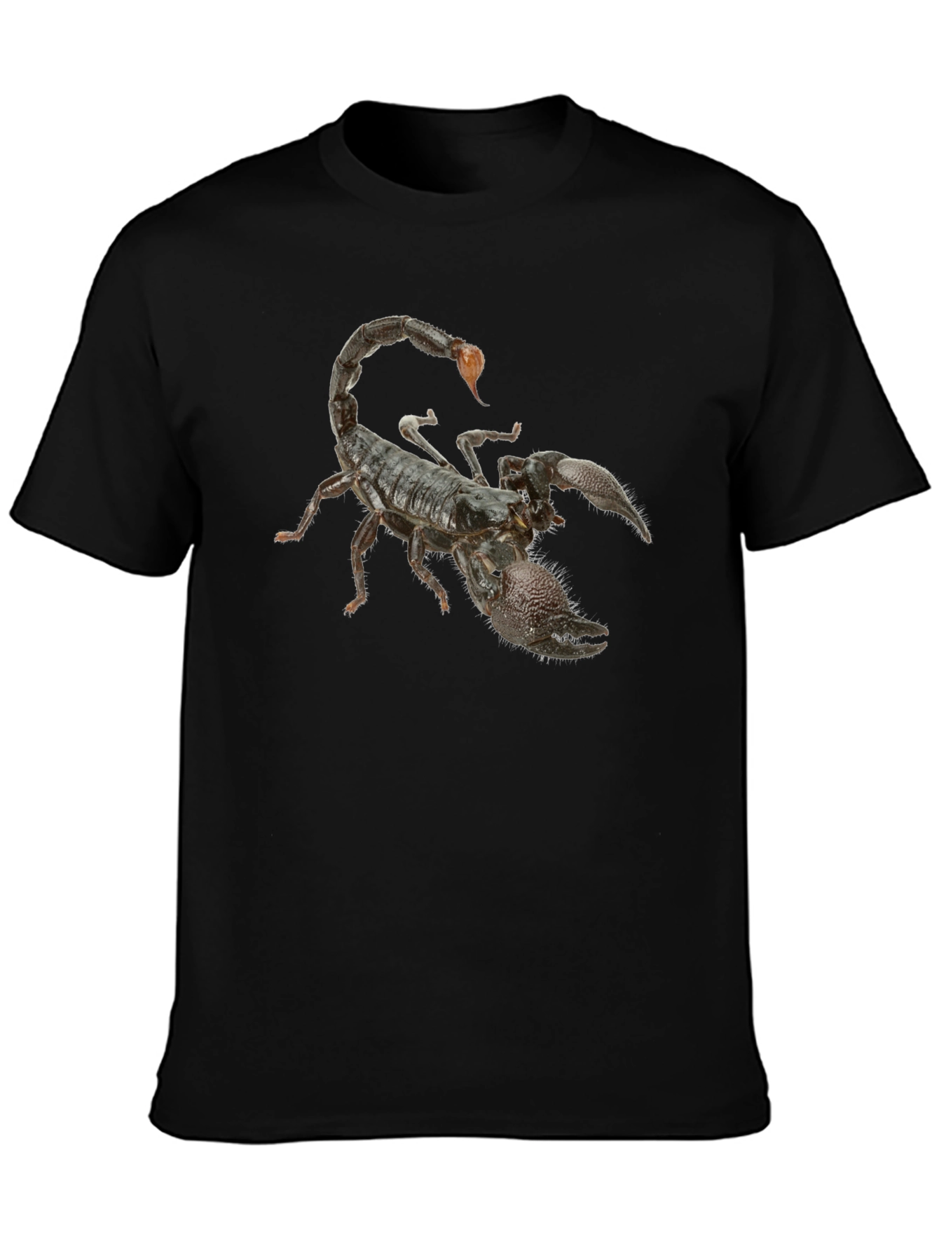 Black Scorpion Graphic Black T-Shirt view 3