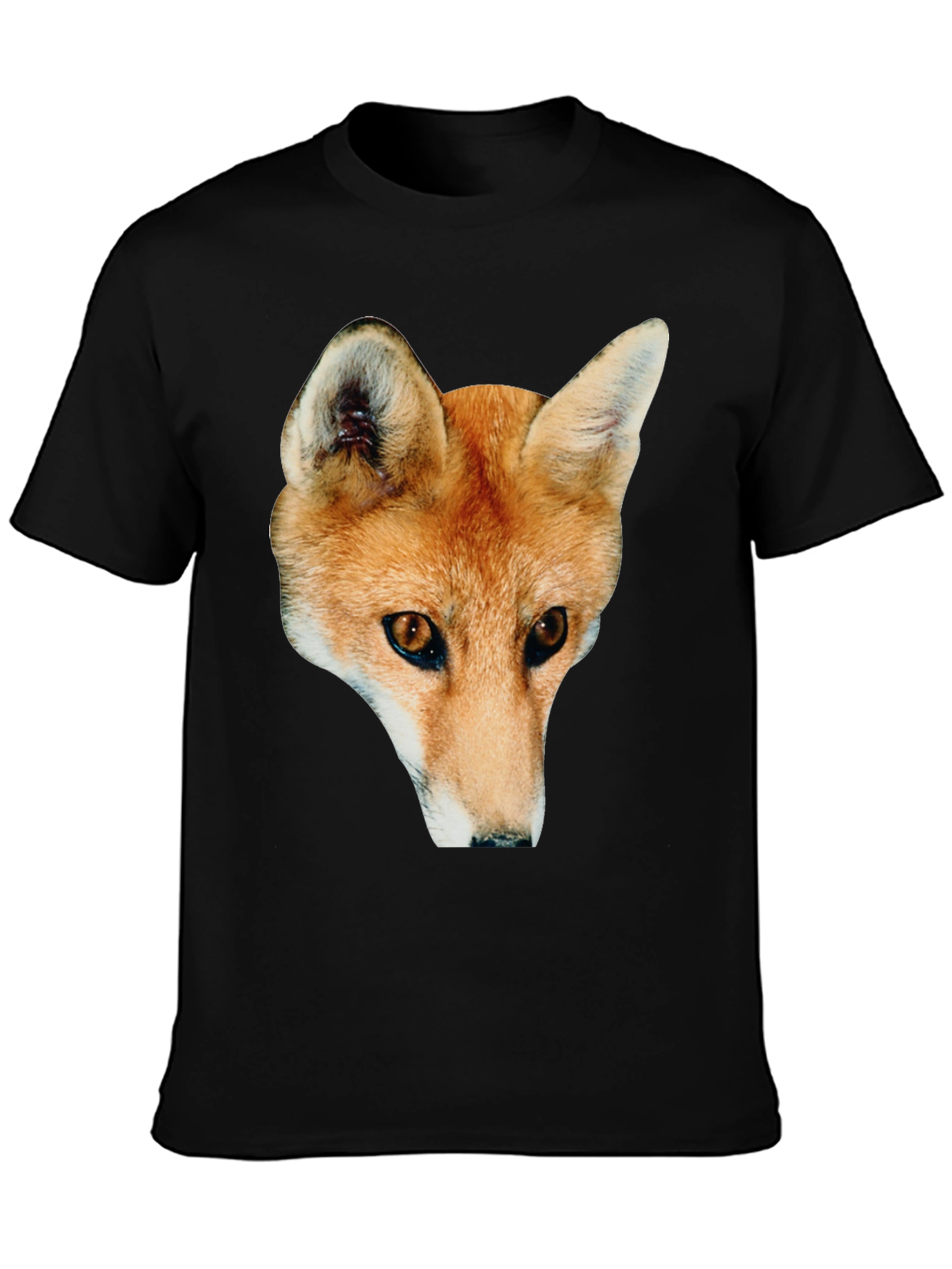 Black Fox Graphic Black T-Shirt view 3