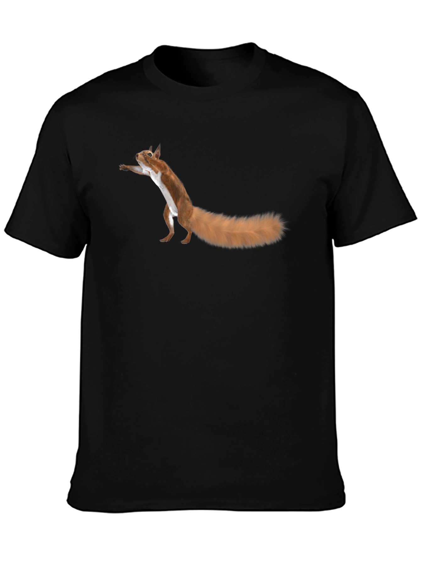 Black Squirrel Graphic Tee - Fun Black T-Shirt view 3