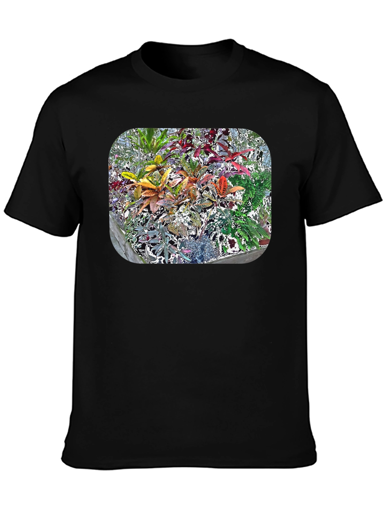 Black Vibrant Croton Plant Graphic Tee view 3