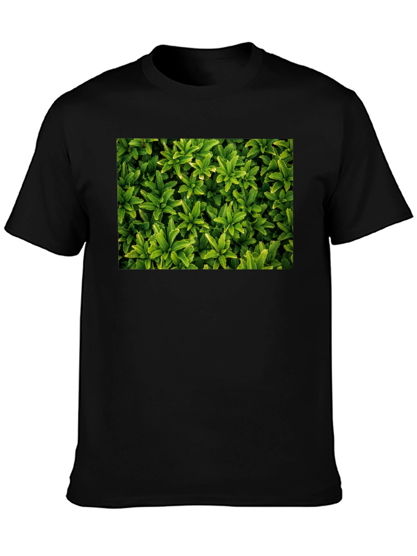 Black Leaf Print Black T-Shirt view 3