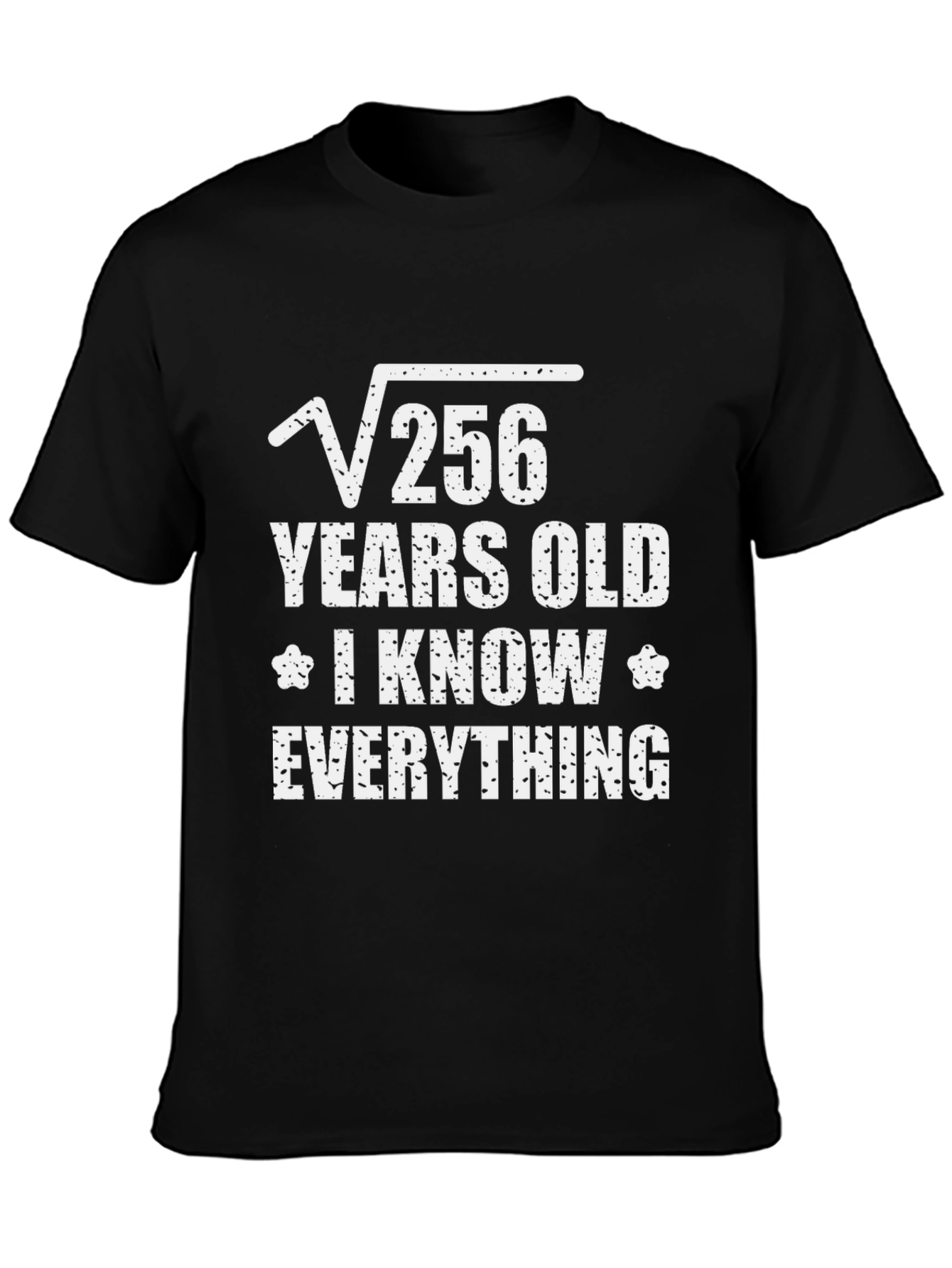 Black Funny Math 16 Years Old T-Shirt view 3