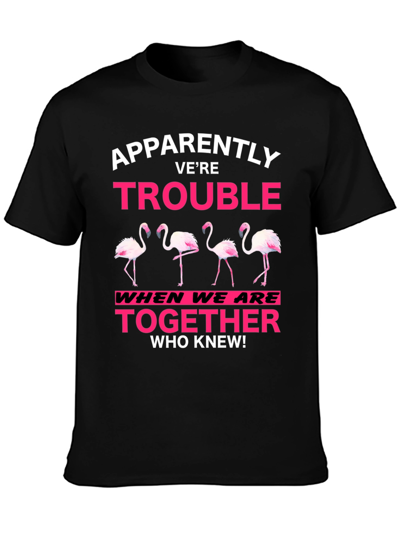 Black Funny Flamingo Trouble Graphic T-Shirt view 3
