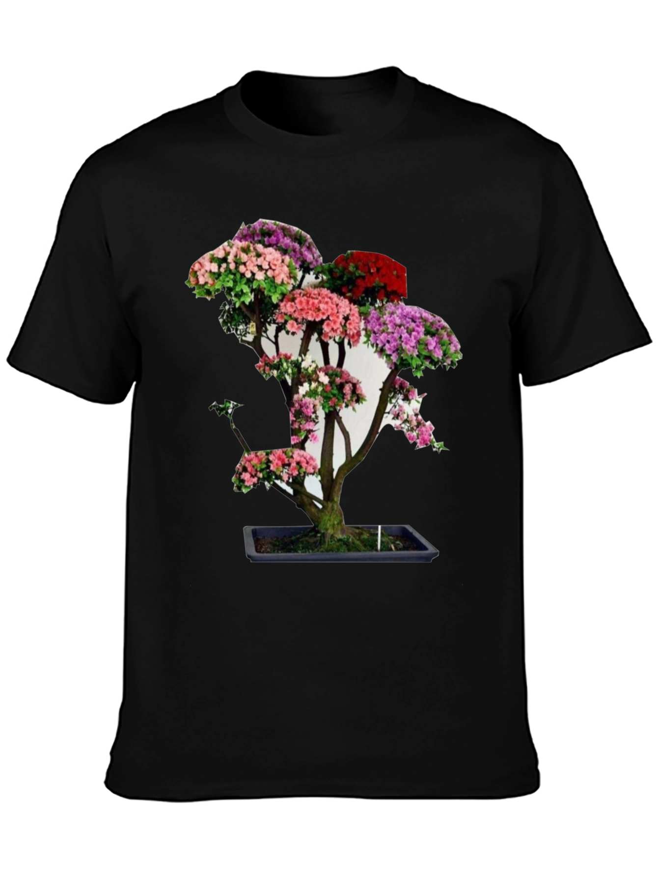 Black Bonsai Tree Graphic Tee - Unique Floral Design view 3