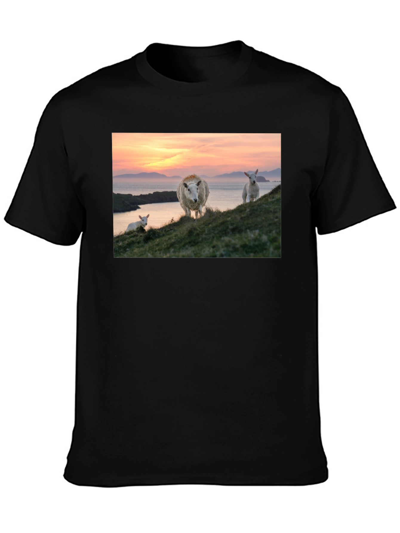 Black Scenic Sheep Graphic Tee - Black Cotton Blend view 3