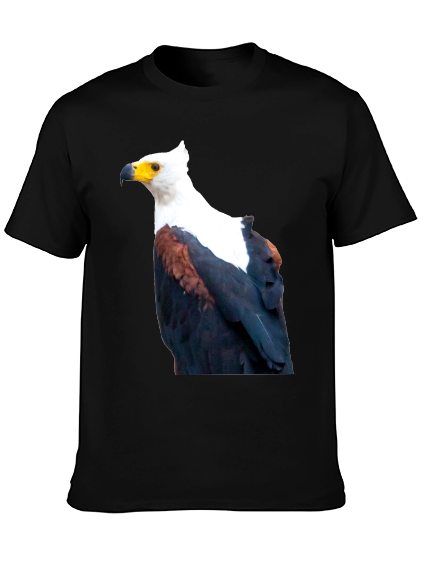 Black Eagle Graphic Tee - Cool Bird Print view 3