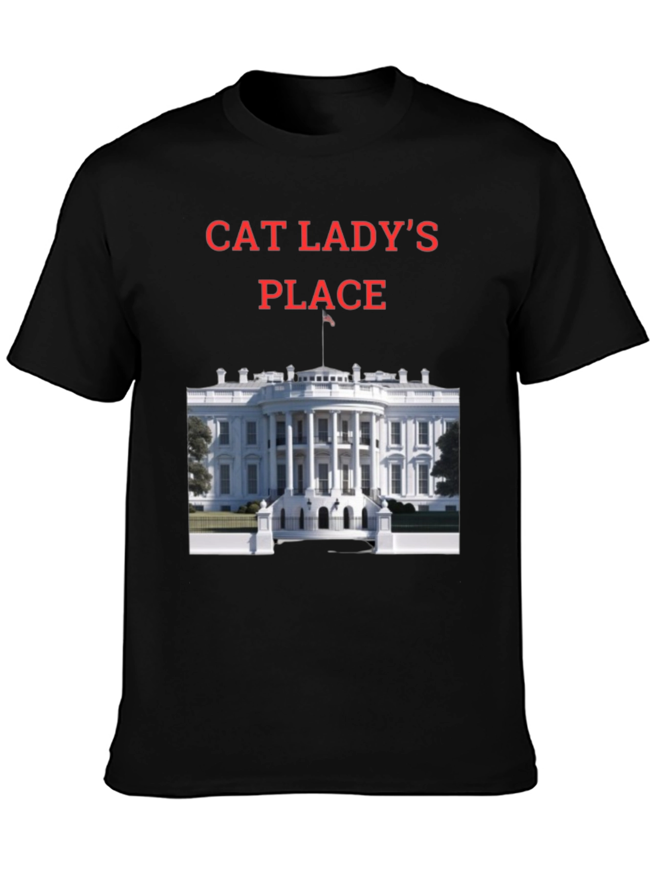 Black Cat Lady's Place T-Shirt - Novelty Tee view 3